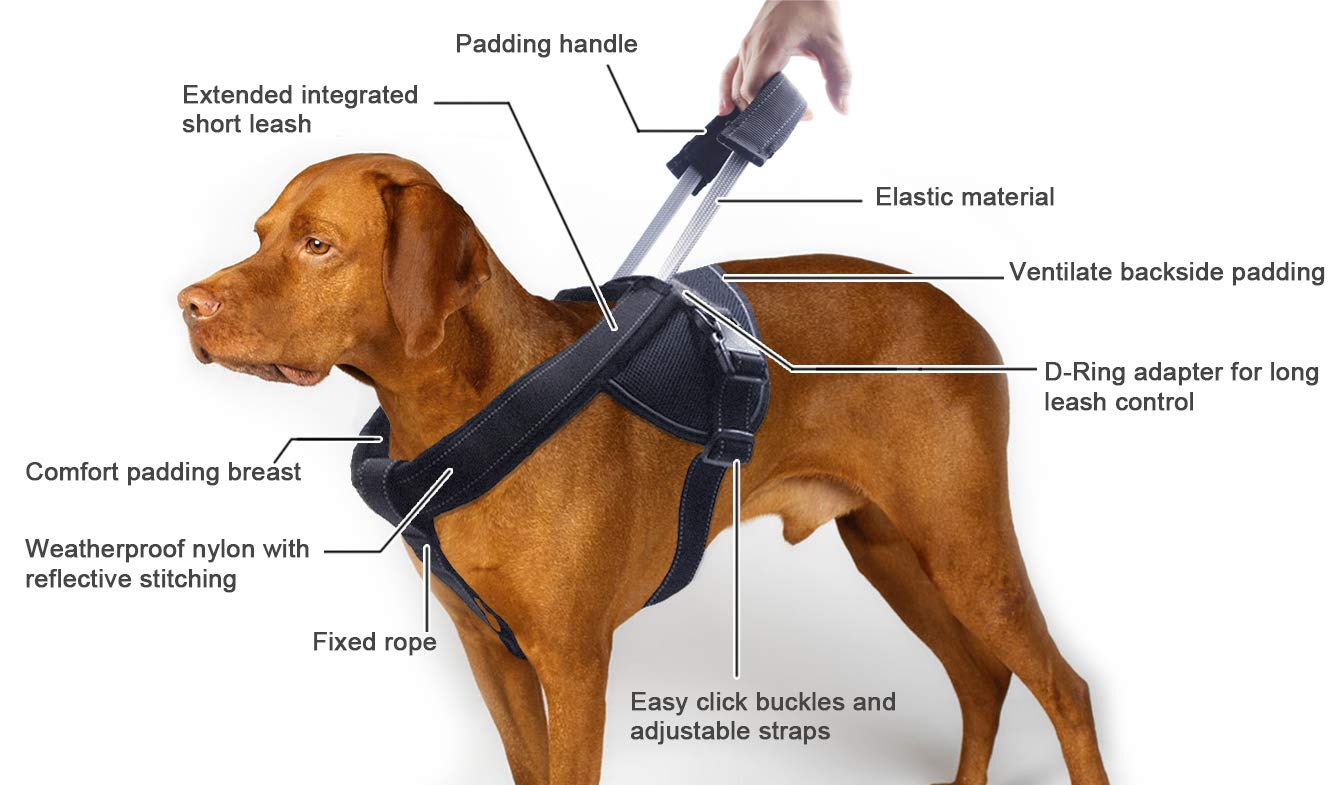 Heavy Duty Dog Harness For Large Dogs, No Pull Dog Vest Harness With Handle Extensible, Reflective Stitching (Xl)