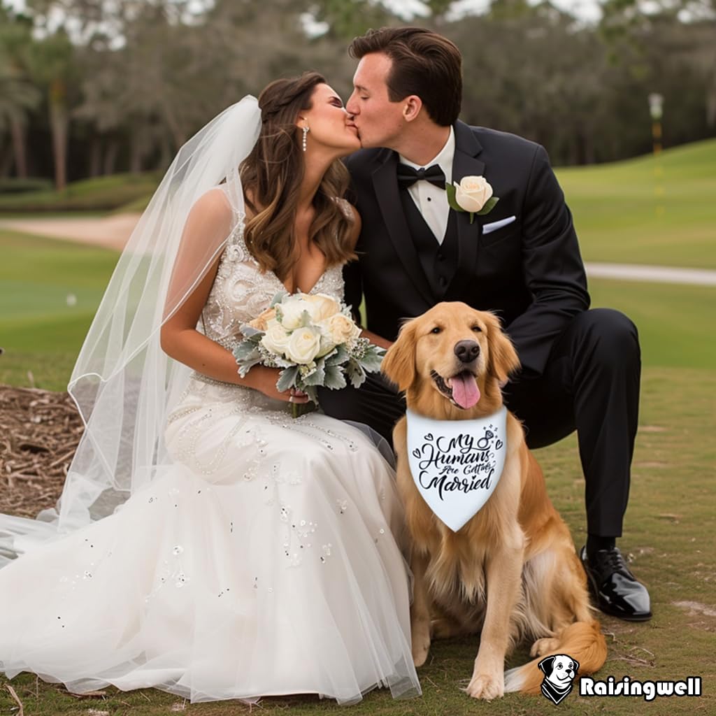 Raisingwell Engagement Gift For Couples Dog Bandana, My Humans Are Getting Married Dog Bandanas,Wedding Party Triangle Scarf For