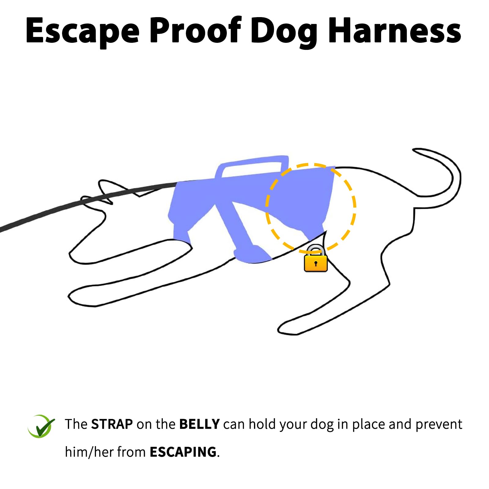 Escape Free Dog Harness, No Slip Harness With Lift Handle, Adjustable No Pull Vest With Soft Breathable Padded And Leash Clip For Medium And Large Dogs Walking Hiking Training (Technicolor Blue,Xl)