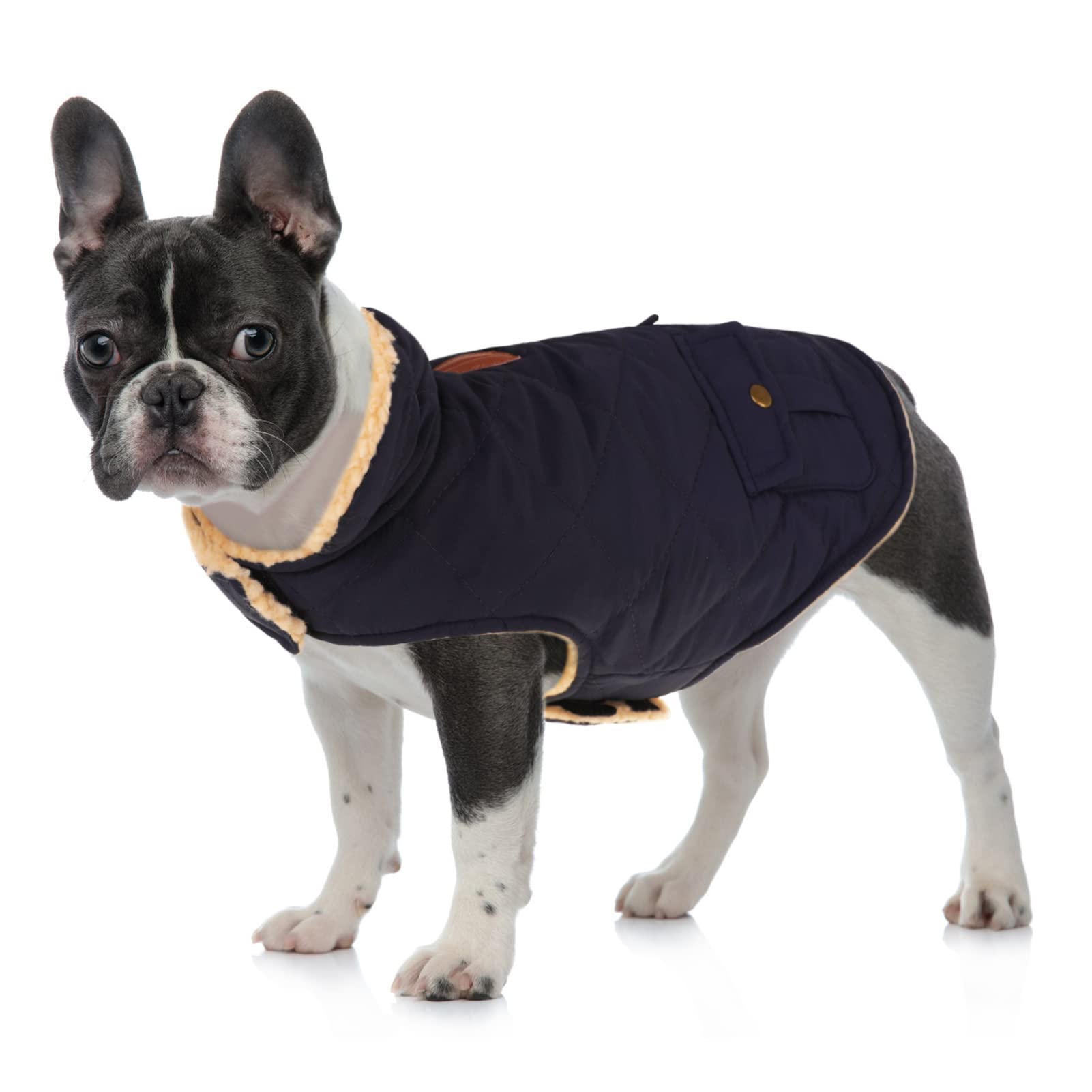 Queenmore Cold Weather Dog Coat, Winter Quilting Dog Jacket Ultra Warm Thick Plush Lining With Storage Pockets (Green, Small)