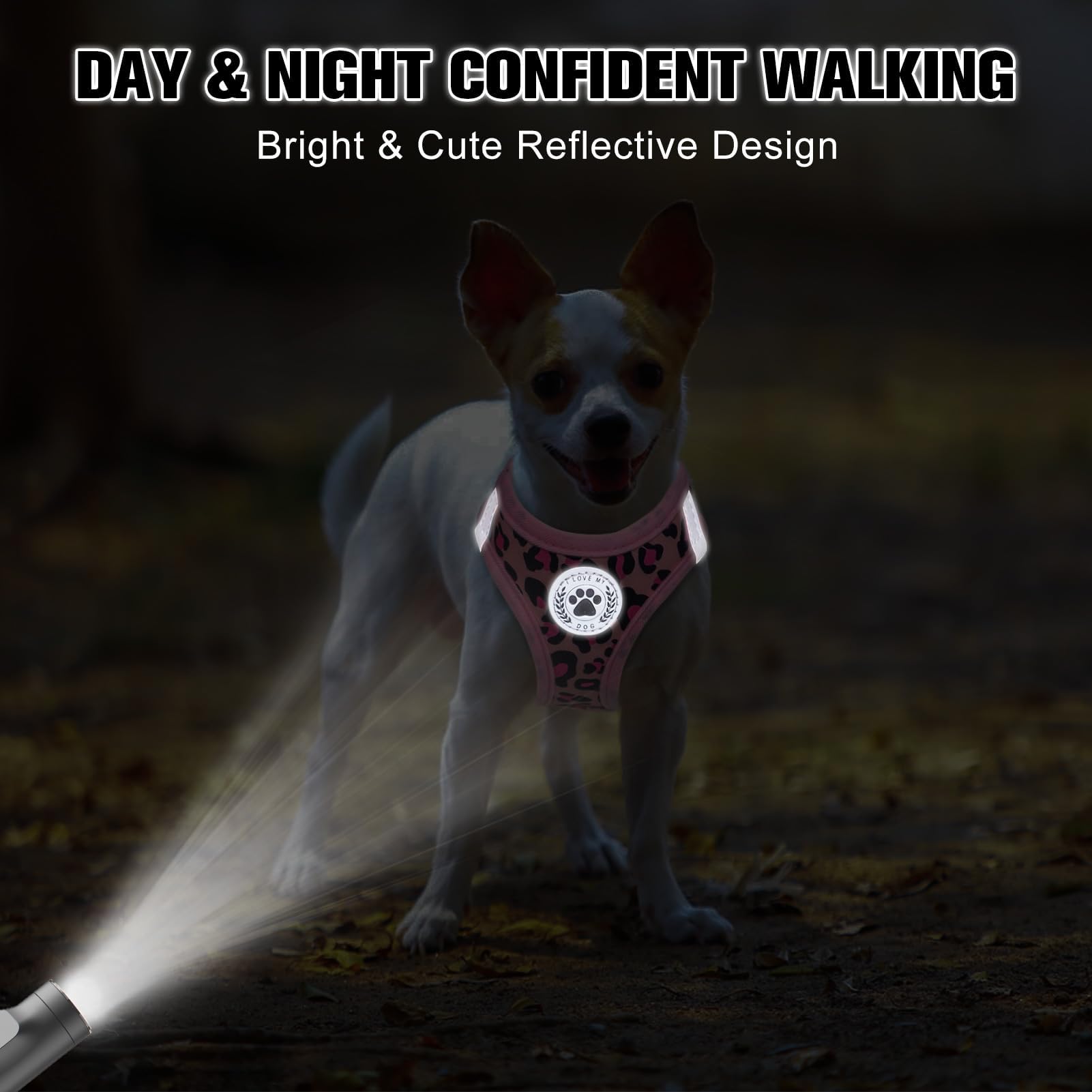 BEAUTYZOO Step in Dog Harness and Leash Set,Reflective Dog Harness No Pull No Choke Puppy Harness for Small Medium Dogs Cats,Sof