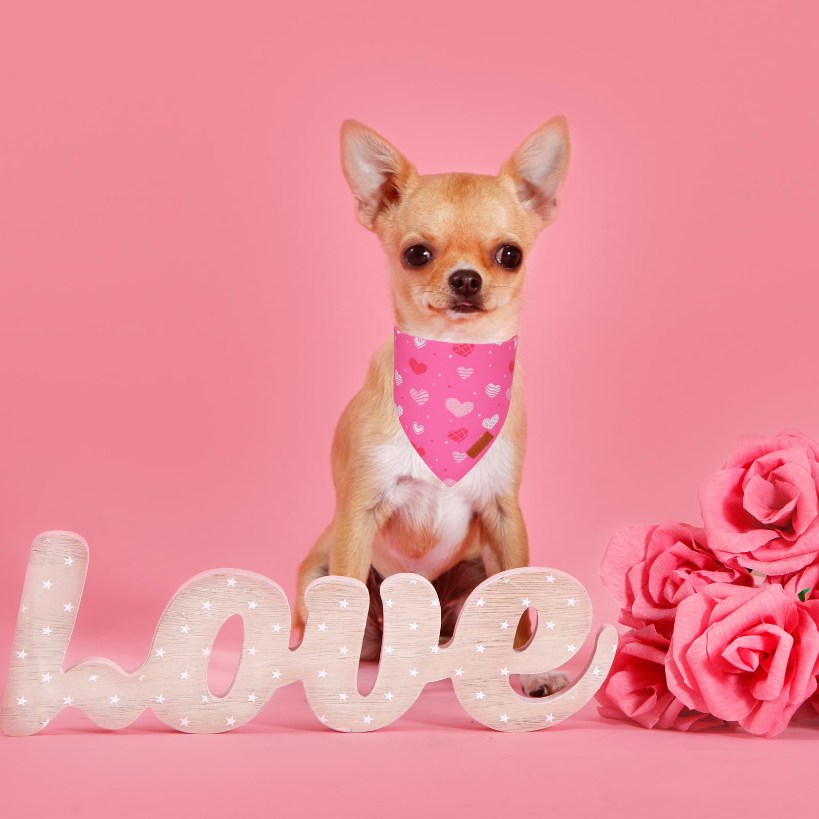 Ptdecor Valentine Dog Bandana,Bule And Pink Love Heart Design Reversible Dog Scarf, Triangle Valentine Bandanas For Medium Large