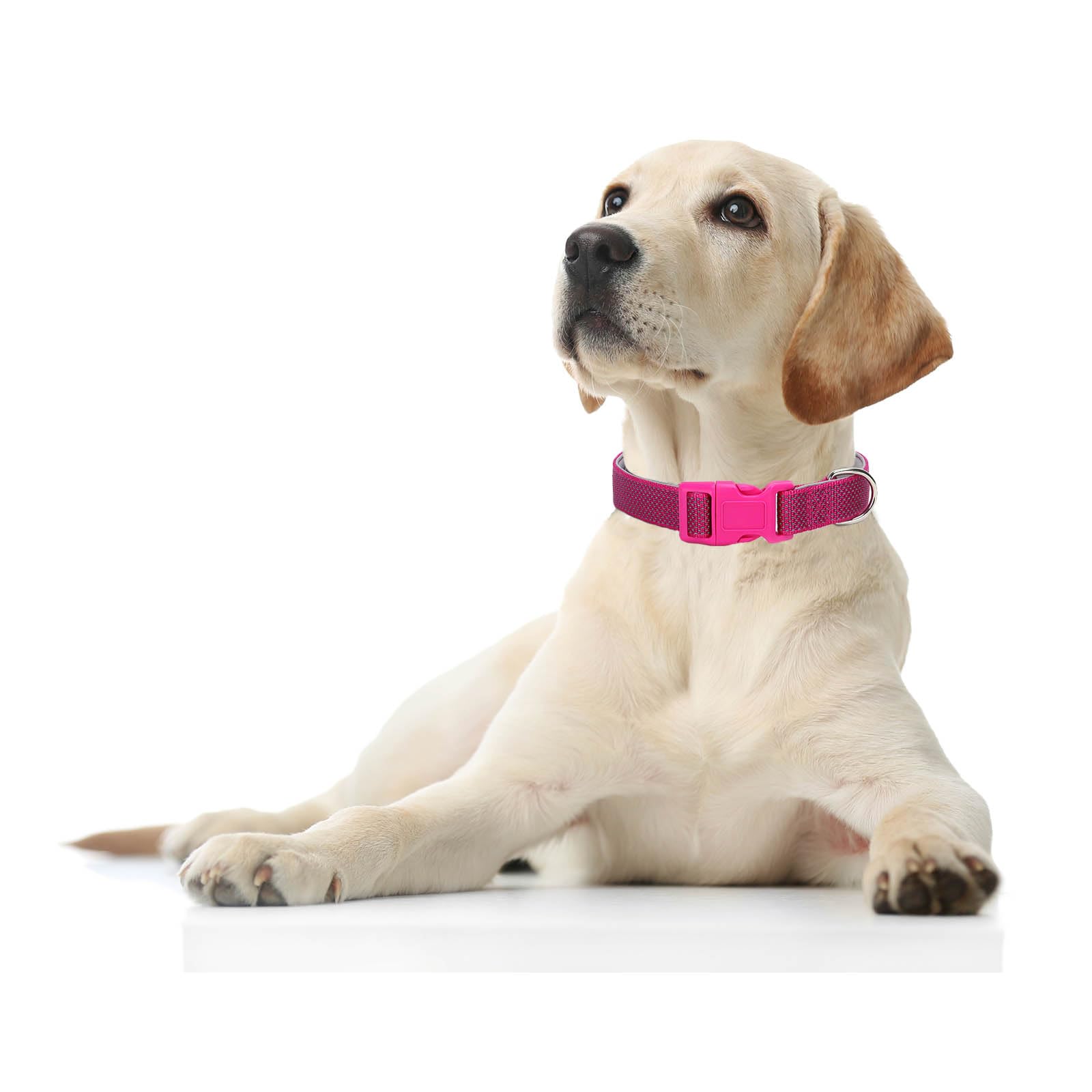 Reflective Dog Collar Padded-4 Size, Breathable Nylon Soft Neoprene Pet Collar For Small Medium And Large Dogs (Rose Red, Xs)
