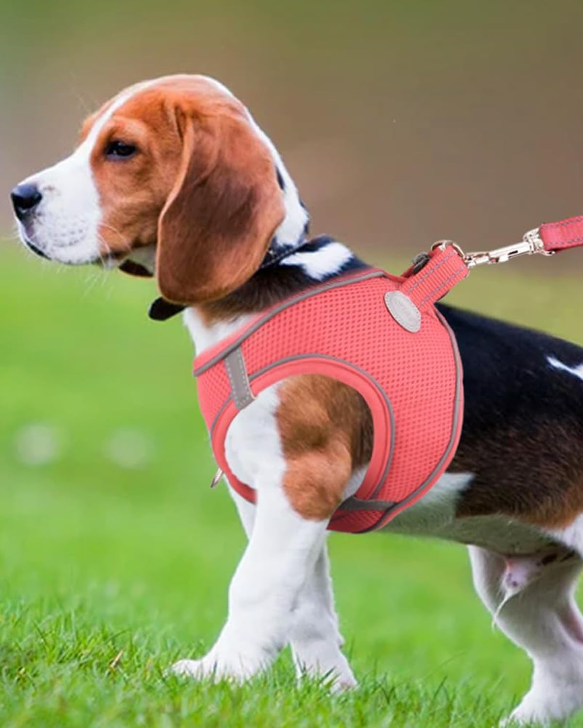 Joytale Step in Dog Harness, Breathable Mesh, Reflective, Soft Padded, XL, Pink