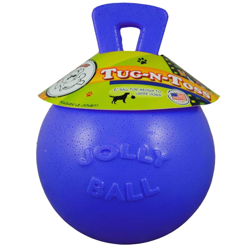 Jolly Pets Dog 10-Inch Tug-N-Toss, Blue