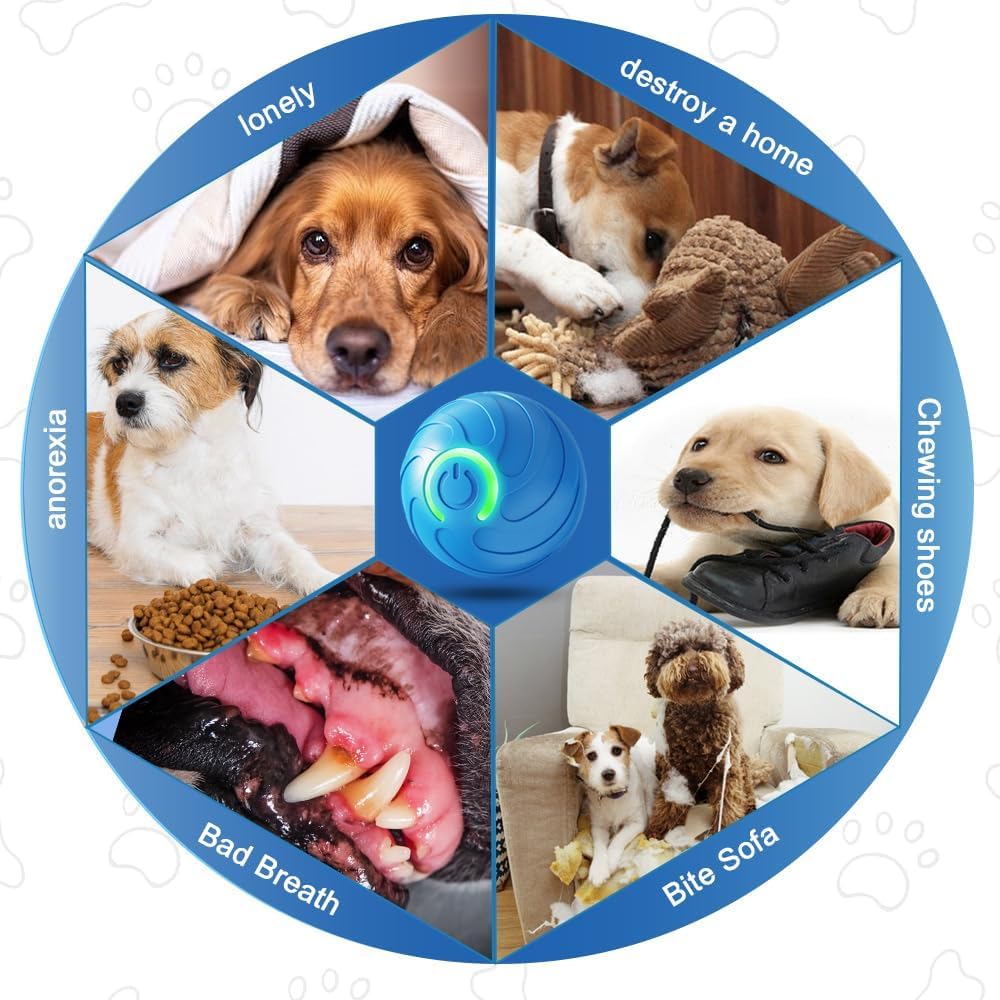 AMATFFUG 2 Packs Smart Jumping Ball for Dogs,2025 New Vibrating DogBall, Smart Jumping Ball DogToy, Interactive DogBall, Shaky B