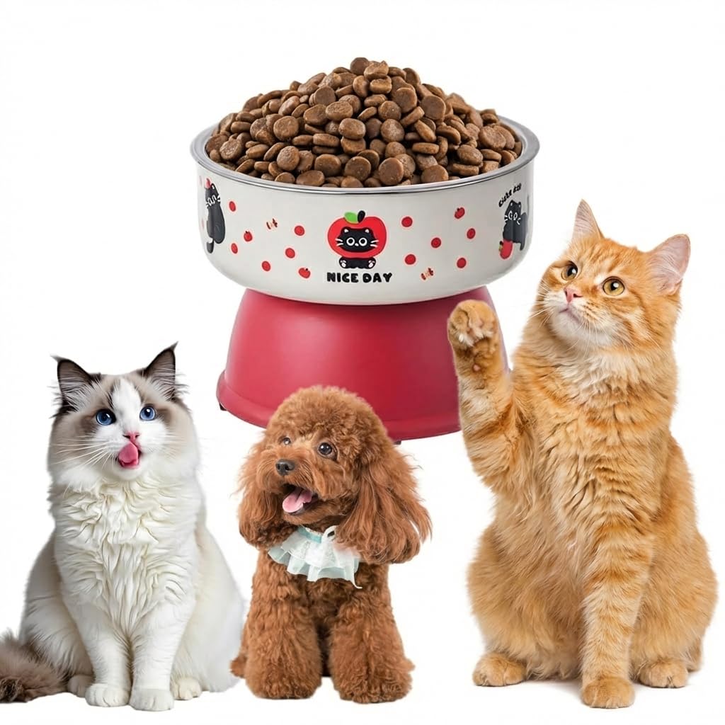 Qpets Elevated Cat Bowl With Stainless Steel Food Dish, Raised Pet Feeder, Non Slip Base, Detachable Design For Cats & Small Dog