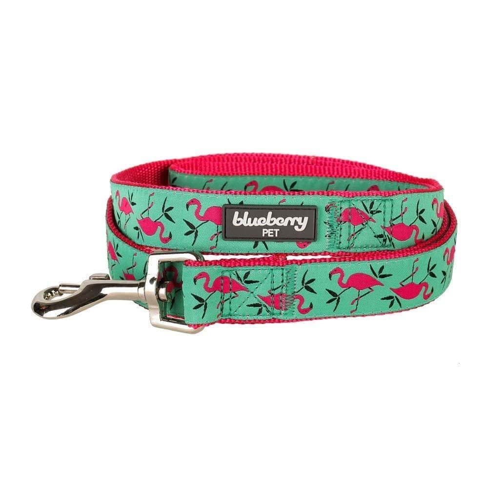 Blueberry Pet Essentials 2 Patterns Durable Pink Webbing Ladybug Designer Dog Leash 5 Ft X 5/8', Small, Basic Nylon Leashes For Dogs
