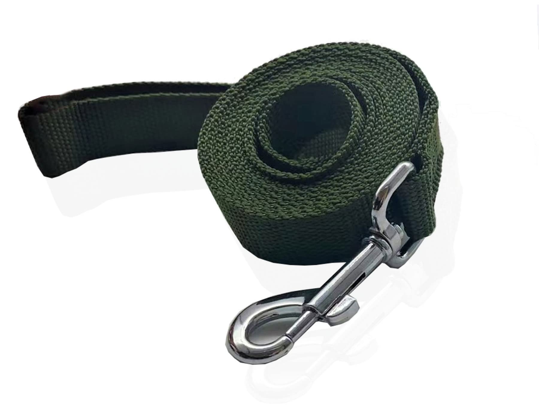 Nylon Dog Leash 12 Feet Long, Walking Training Dog Leashes For Medium Large Dogs(1'' X 12 Ft, Green)