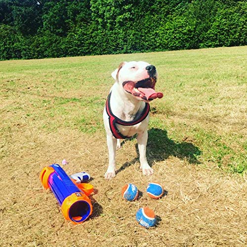 Nerf Dog Tennis Ball Blaster Toy - 16" Compact Blaster with 1 Ball, Blue/Orange, Durable ABS Plastic, Original Model