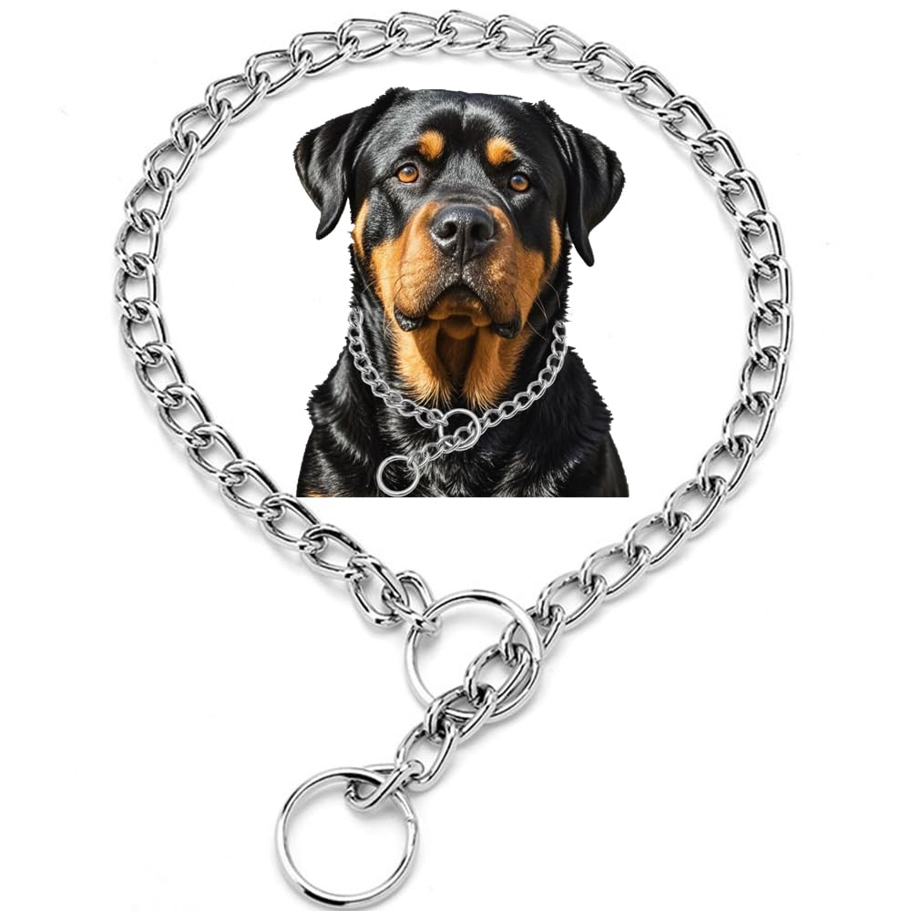 Silver Dog Chain Collars For Small Dogs, Heavy Duty Training Metal Slip P Link Collar Martingale Collars Puppy Chain For Xxs Sma