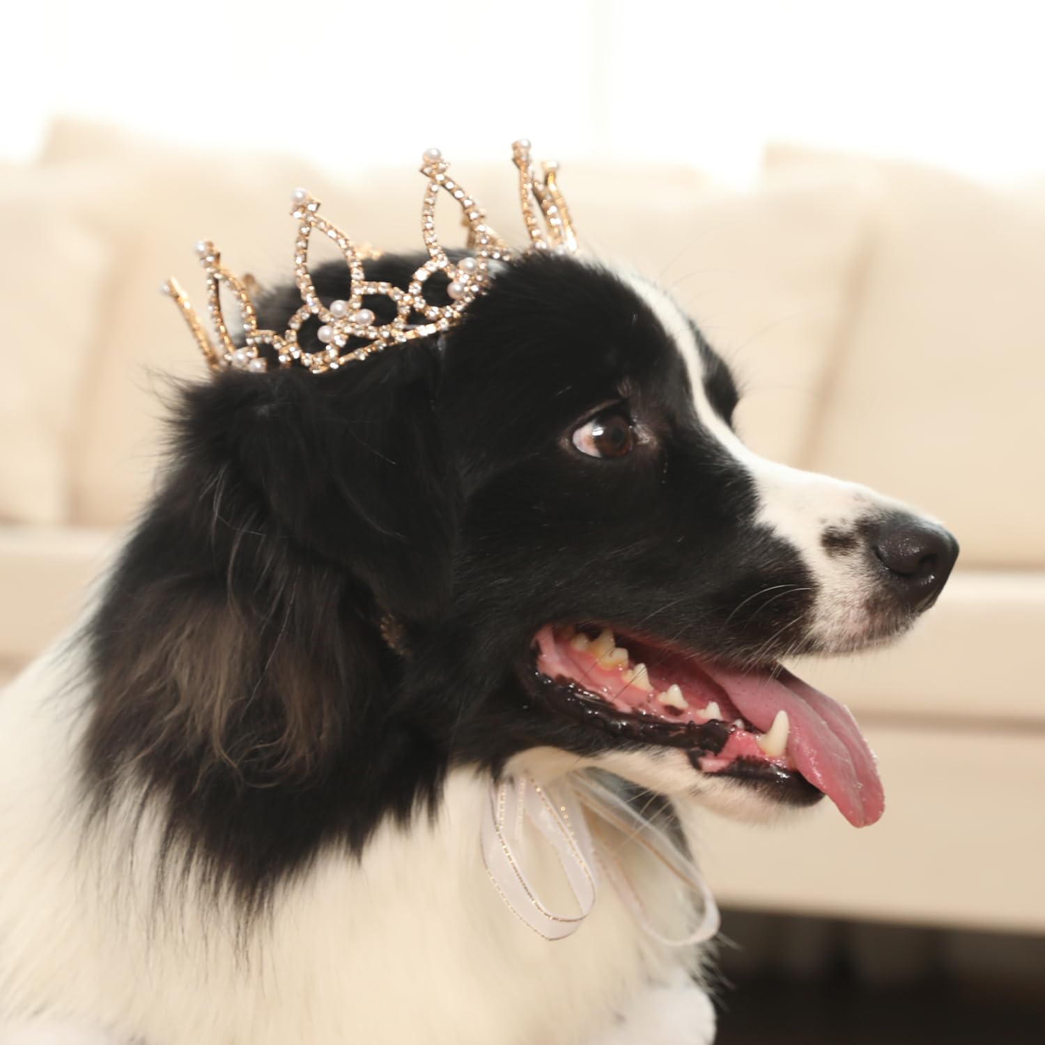 Lovelyshop Pet Series Gold Plated Royal Rhinestone Pearl Full Round Dog/Cat Crown For Rolyal Family Costume Hair Accessories-Lar