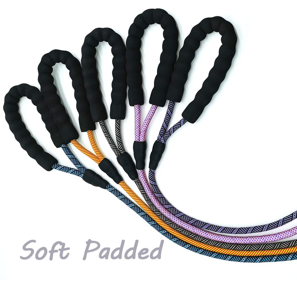 Maypaw Heavy Duty Rope Dog Leash, 1/4' X 6Ft Nylon Pet Training Leash, Soft Padded Handle Thick Lead Leash For Small Dogs (1/4' 6', Black)