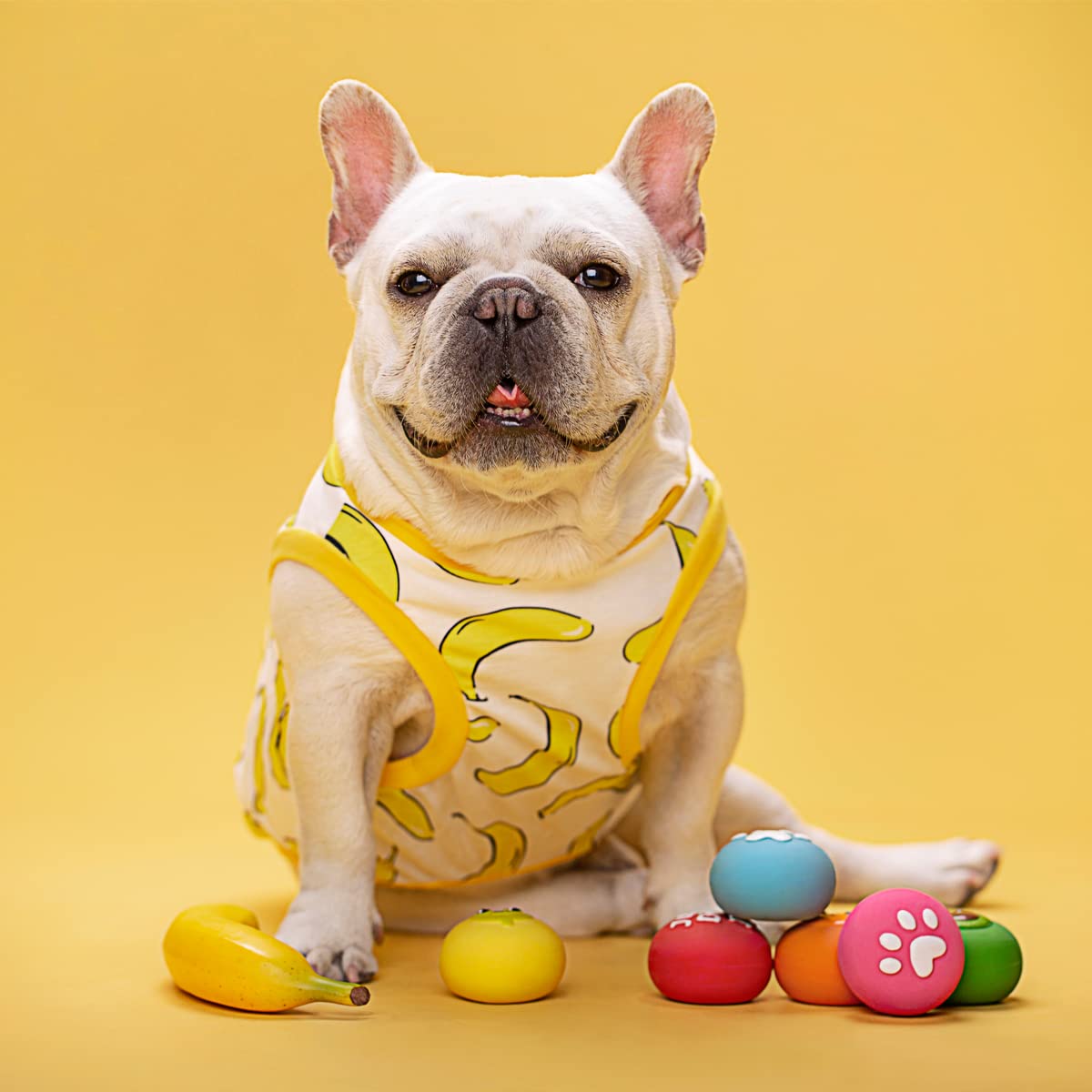 Pawdoer Squeaky Dog Toys - Soft Latex Rubber Squeaky Dog Ball For Small Dogs Puppies - Cute Bounce Dog Squeak Toys Balls With Funny Cute Face