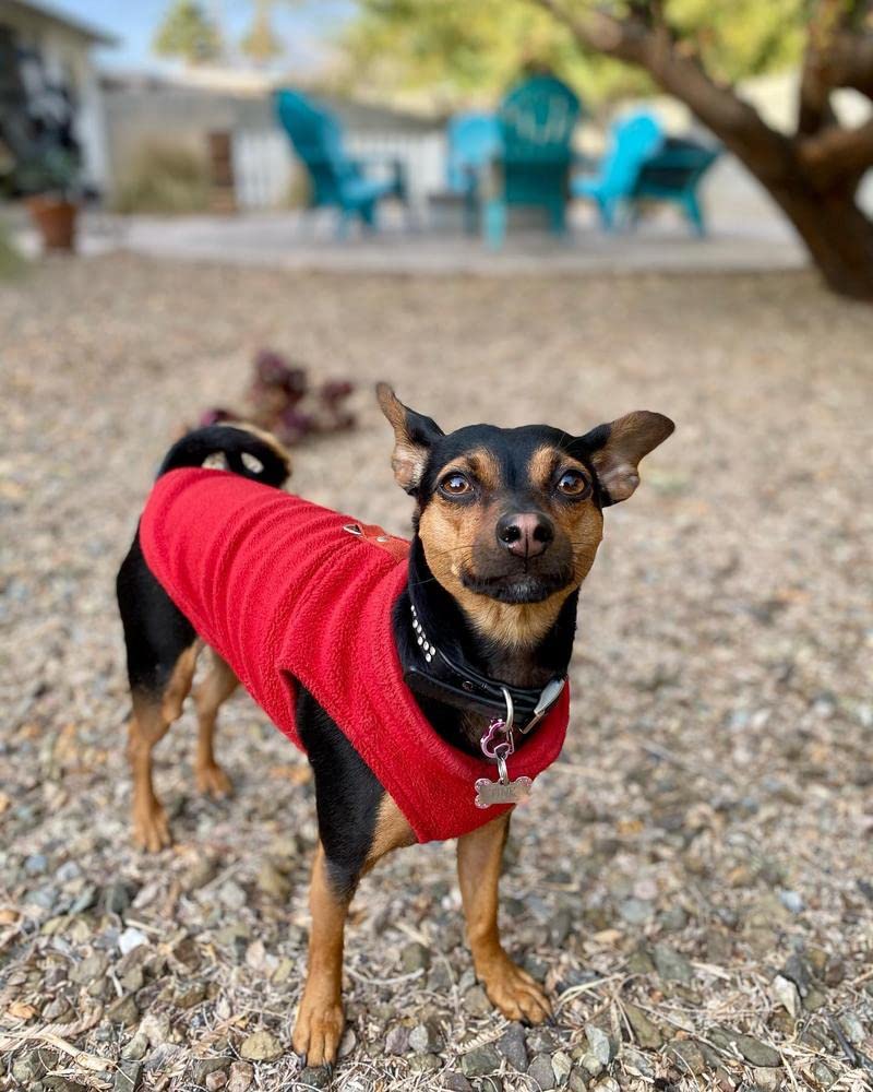Gooby - Fleece Vest, Small Dog Pullover Fleece Jacket with Leash Ring, Red, X-Large
