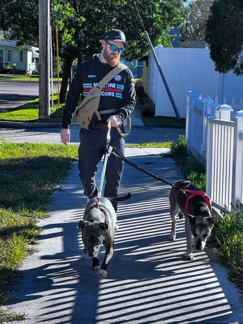 Double Dog Leash - Dog Leash Extension - Bungee Dog Leash Attachment Reflective - Hands Free Dog Leash - No Tangle - Shock Resis