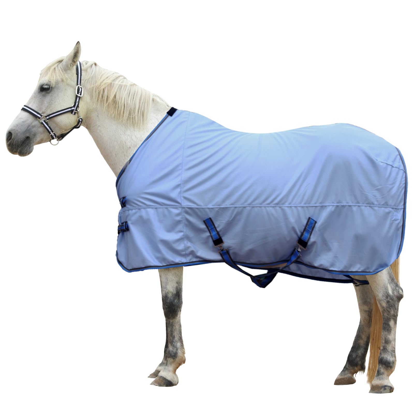 Gallopoff Horse Fly Sheet, Standard Neck Comfy Mesh Fly Sheet For Horses, Equine Summer Sheets Uv-Protective Lightblue 81
