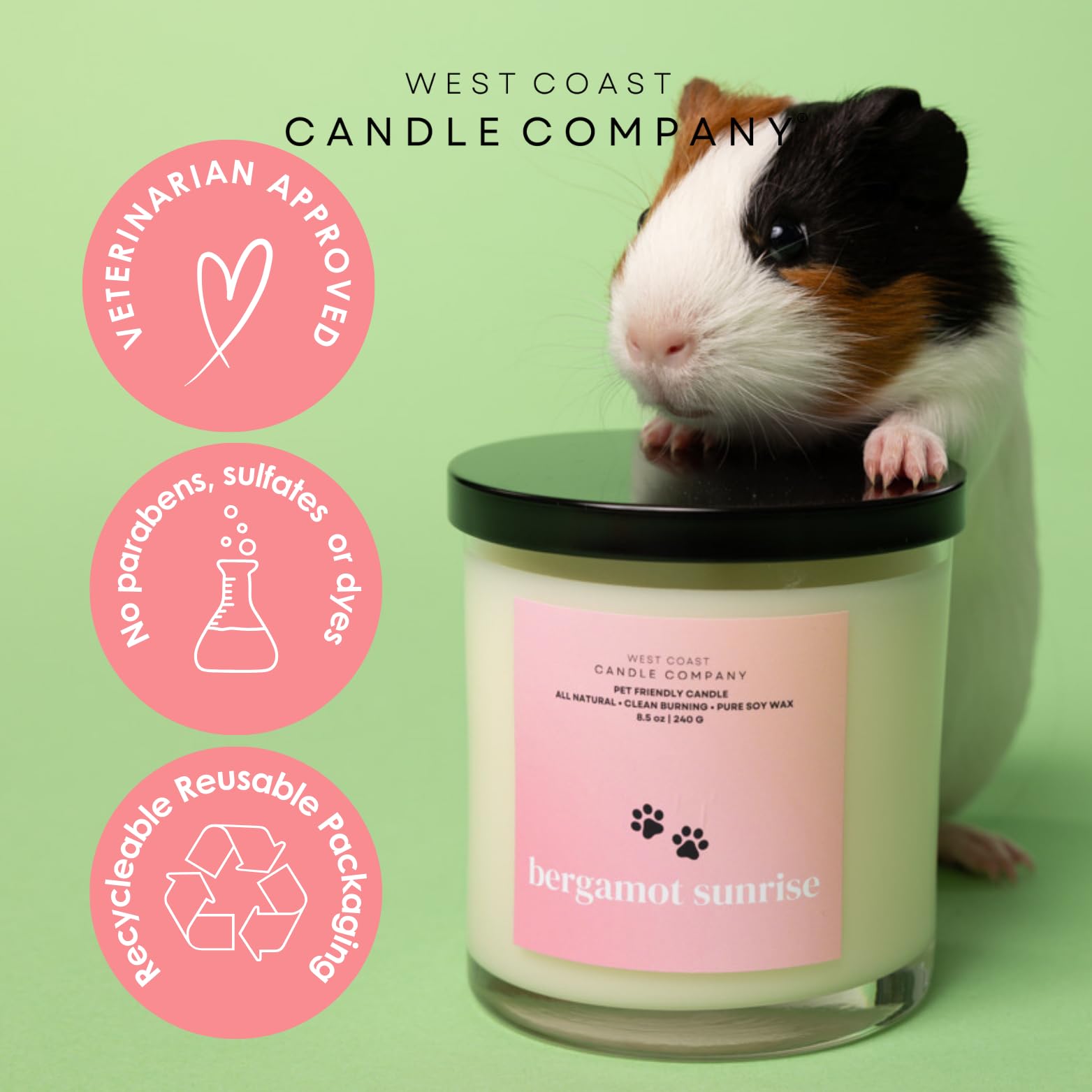 Pet Friendly Wax Melts | Pet Safe Wax Melts | All Natural Dog Safe Wax Melts | Non-Toxic Wax Melts | Pet Odor Eliminator | Pure