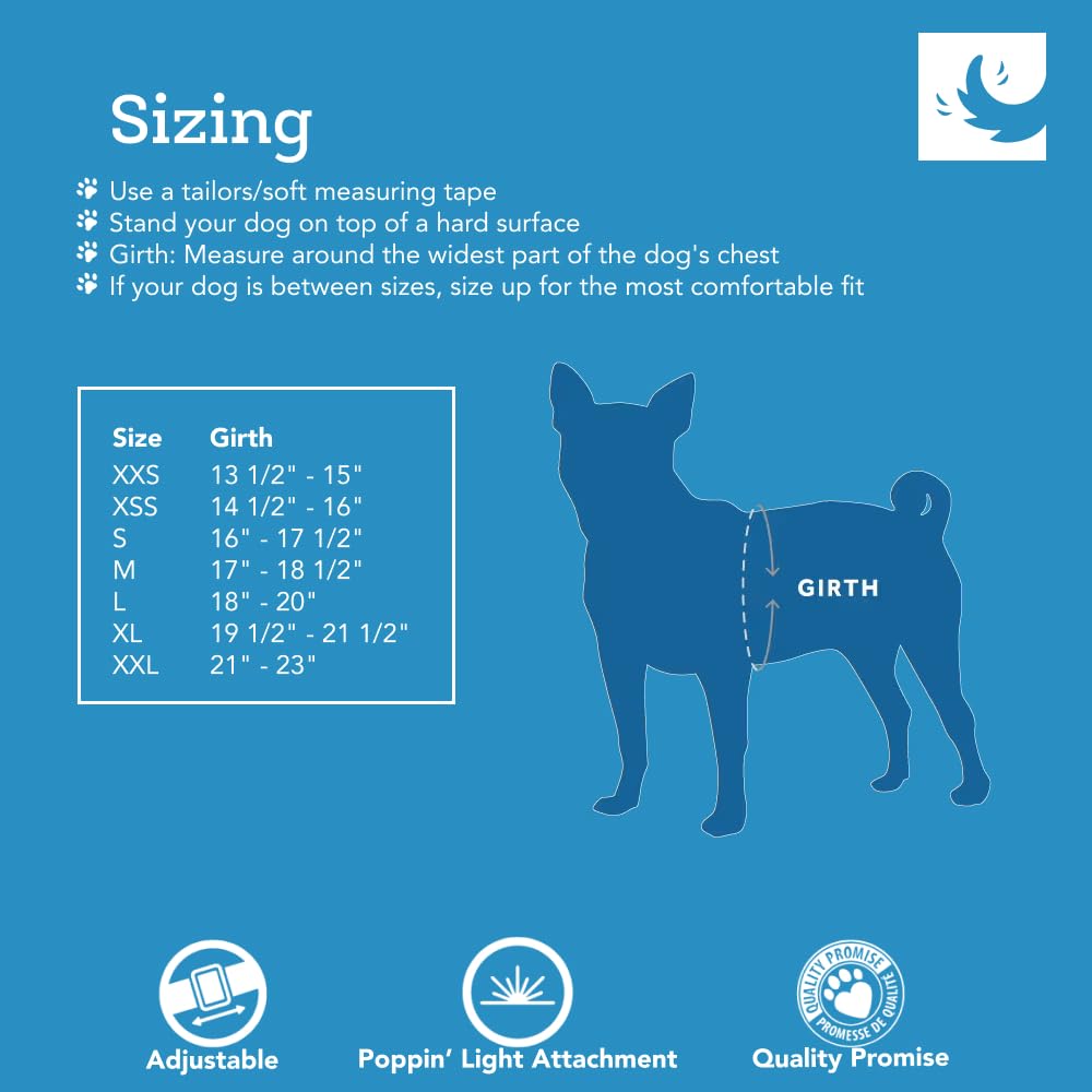 RC Pet Products Cirque Soft Walking Step-in Dog Harness, Pineapple Parade, X-Large