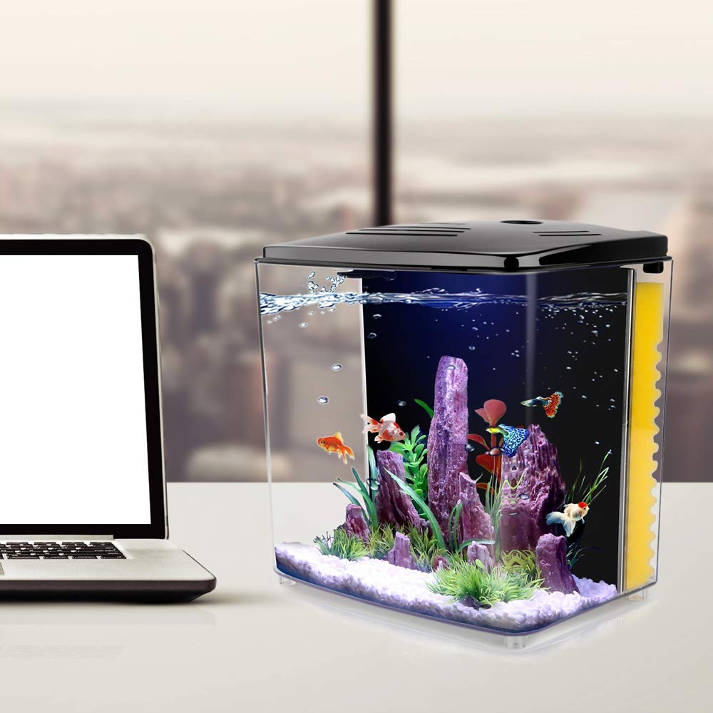 1.2Gallon Betta Aquarium Starter Kits Square Fish Tank With Led Light And Filter Pump