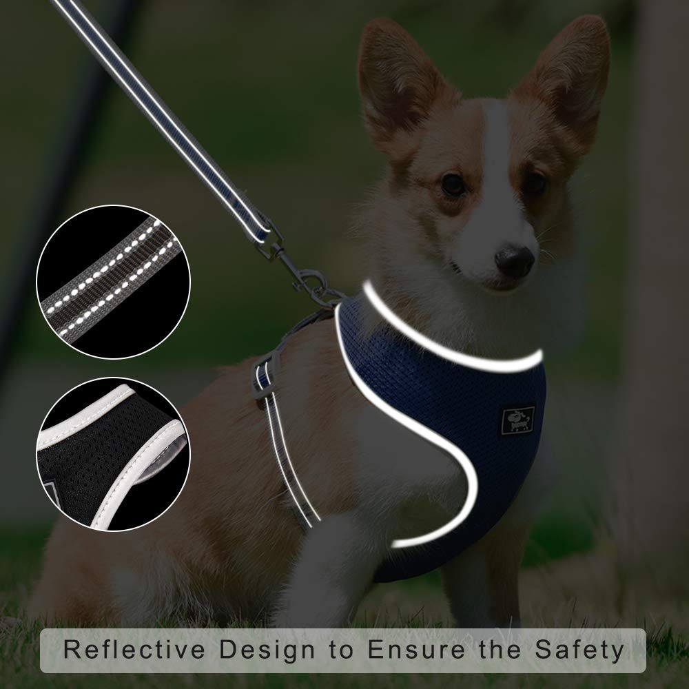 Puppy Harness And Leash Set- Xs And Small Dog Harness - Adjustable Reflective Step In Harness For Dogs - Soft Mesh Comfort Fit N