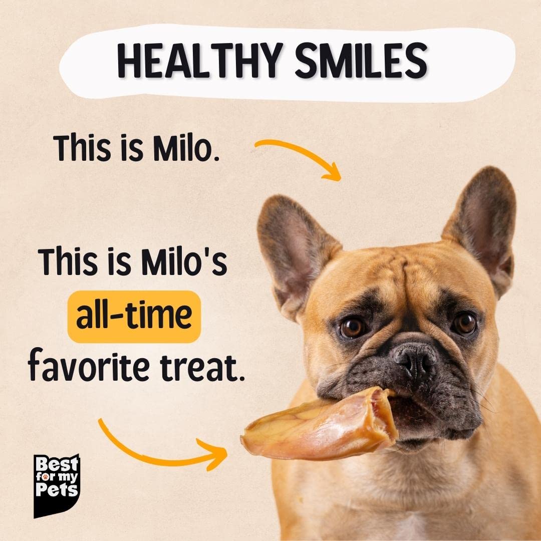 Best For My Pets Pig Ears for Dogs (Whole, 100 Pack), Healthy, Highly Digestible All Natural Pigs Ears Long-Lasting Dog Chews, P