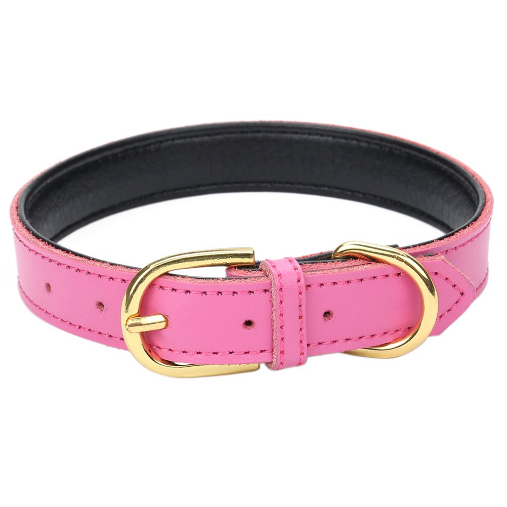 Aolove Basic Classic Padded Leather Pet Collars For Cats Puppy Small Medium Dogs (Medium (Neck 11.5'-15'), Rose Red)