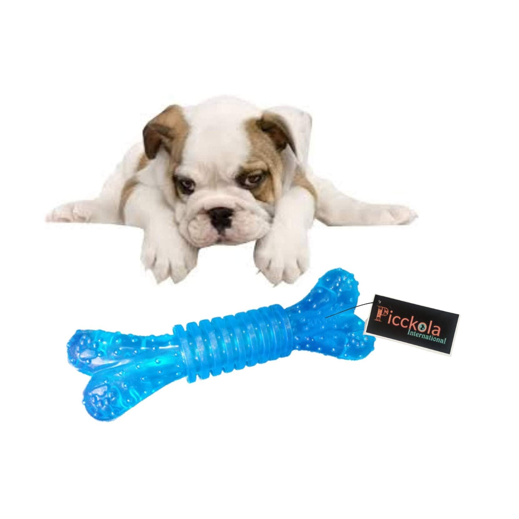Picckola International 100% Non Toxic Rubber Flavoured Puppy Bone Toy Spike Bone Chew Toy Teething Toy (Grip Bone, Color May Var