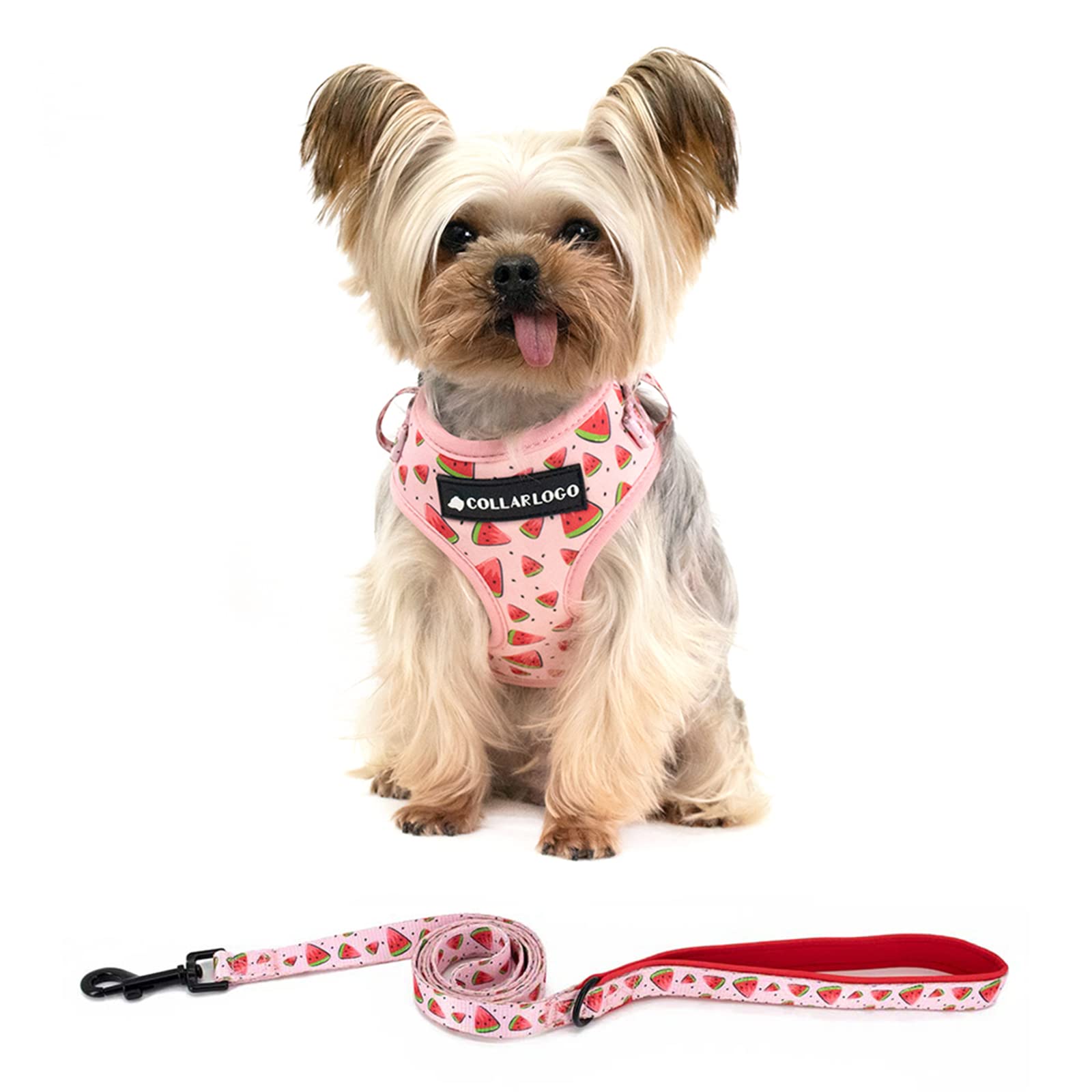 Coowone Dog Harness And Leash Set, Adjustable Puppy Harness And Soft Padded Dog Vest Harness For Small Medium Large Dogs