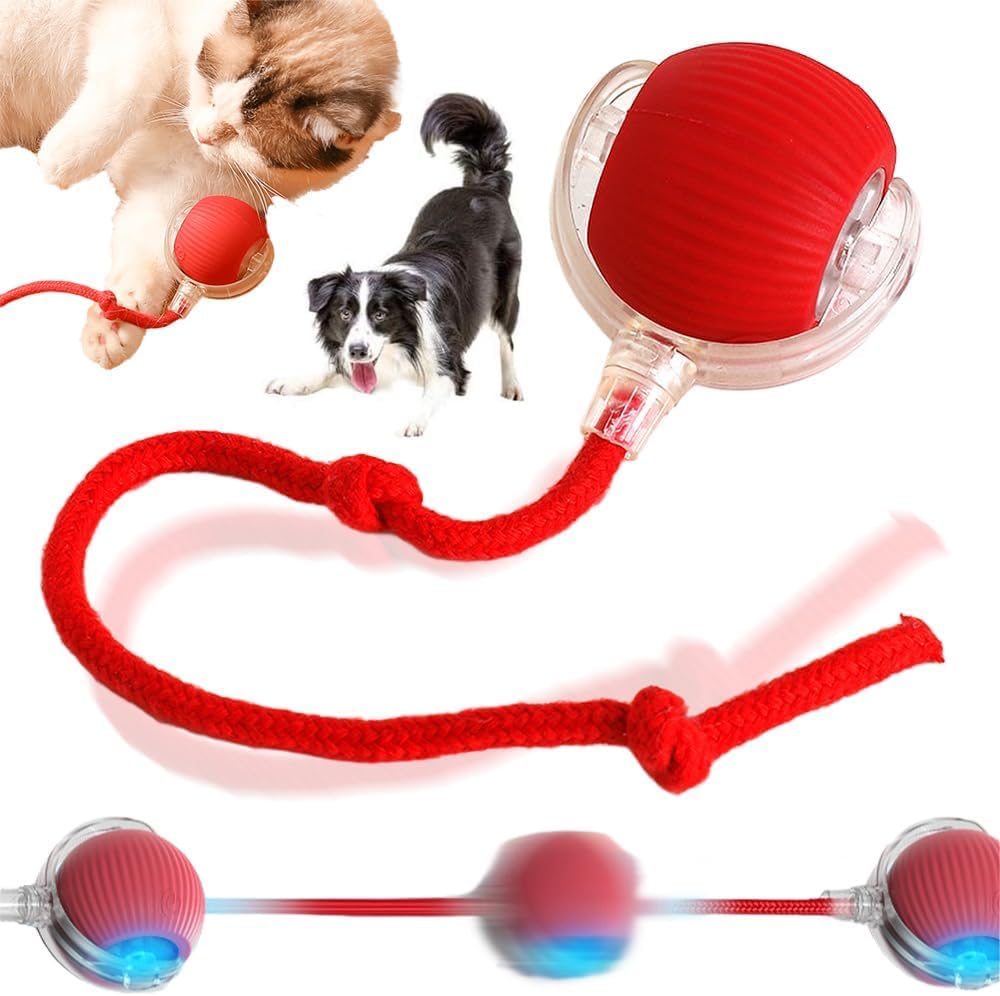 Interactive Electric Automatic Rolling Moving Rechargeable Self Play Stimulation Toy,Smart Pet Chase Ball With Speedy Tail Rope 