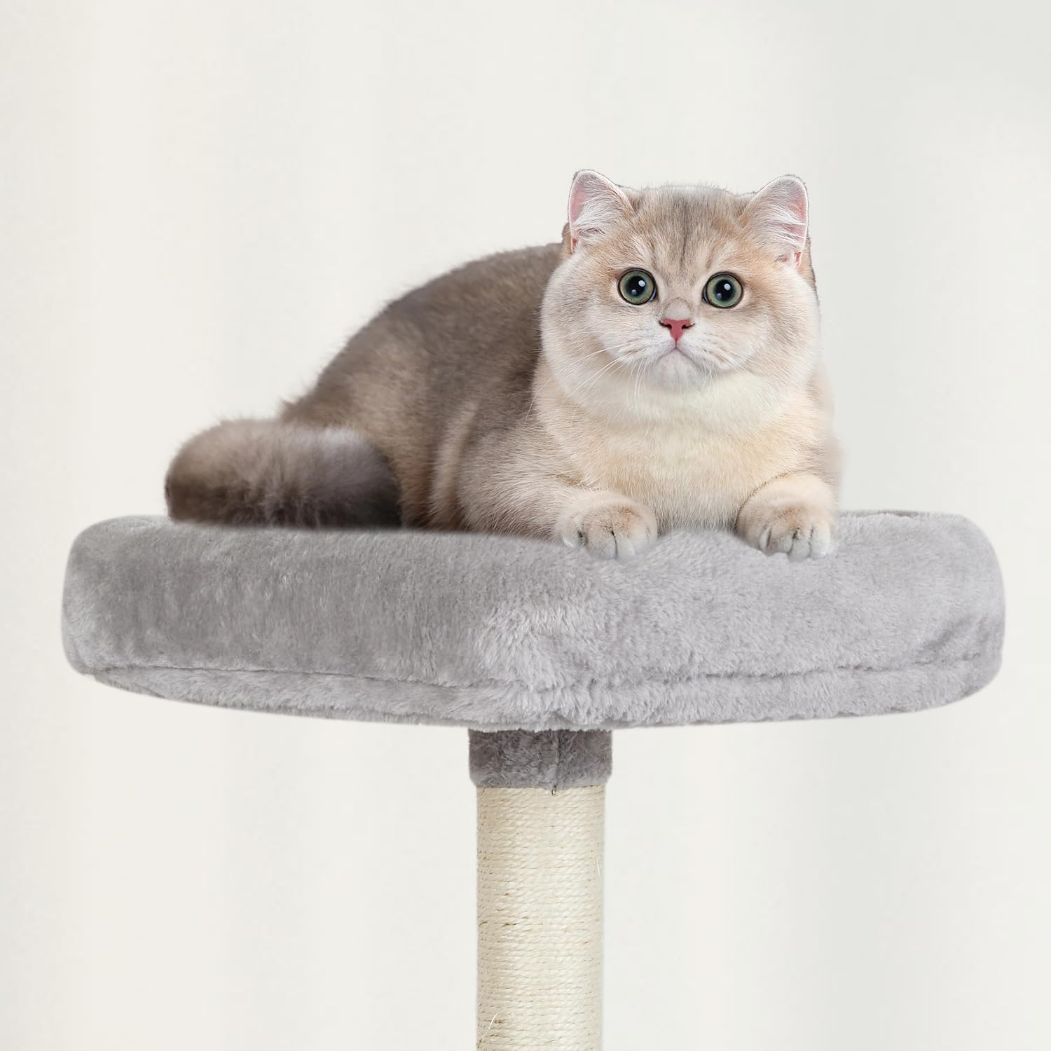 Miao Paw Grey Cute Cat Tree For Indoor Cat Tower With Scratching Post Modern Activity House Hammock Hanging Ball Condo With Boar