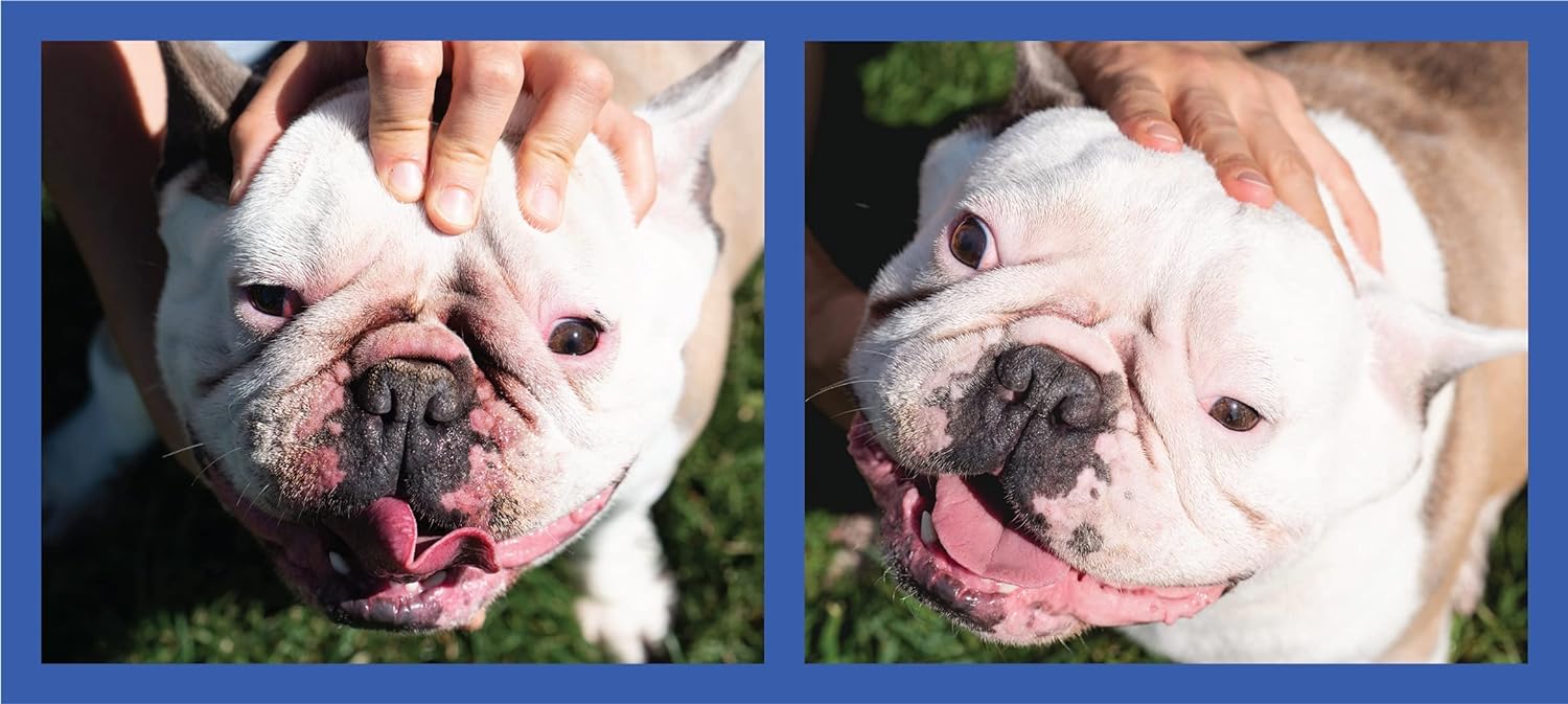 Squishface Wrinkle Paste - 2 Pack - Bulldog, French Bulldog, Pug, English Bulldog - Cleans Wrinkles, Tear Stain, Tail Pockets, a