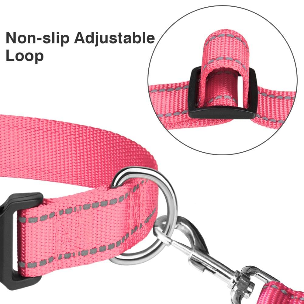 Taglory Reflective Adjustable Dog Collars For Puppy Small Medium Large Dogs, Thin Nylon Webbing And Quick Release Plastic Buckle(Noen Pink Medium)