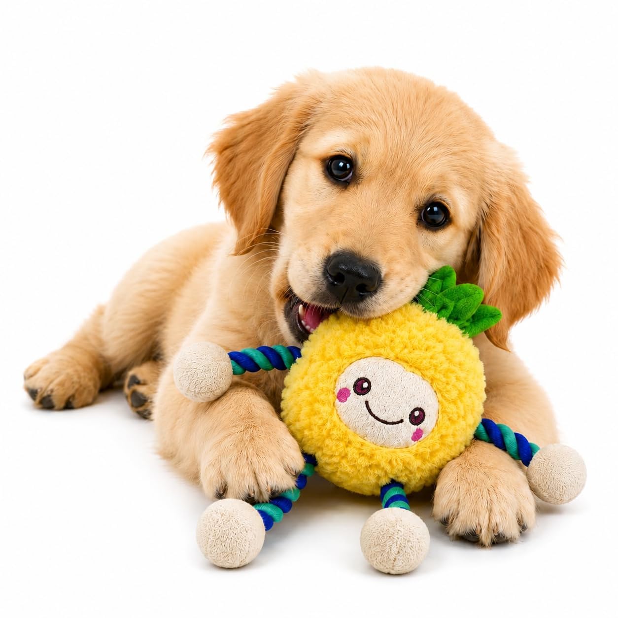 Canine Products Soft Plush Fruit Character
