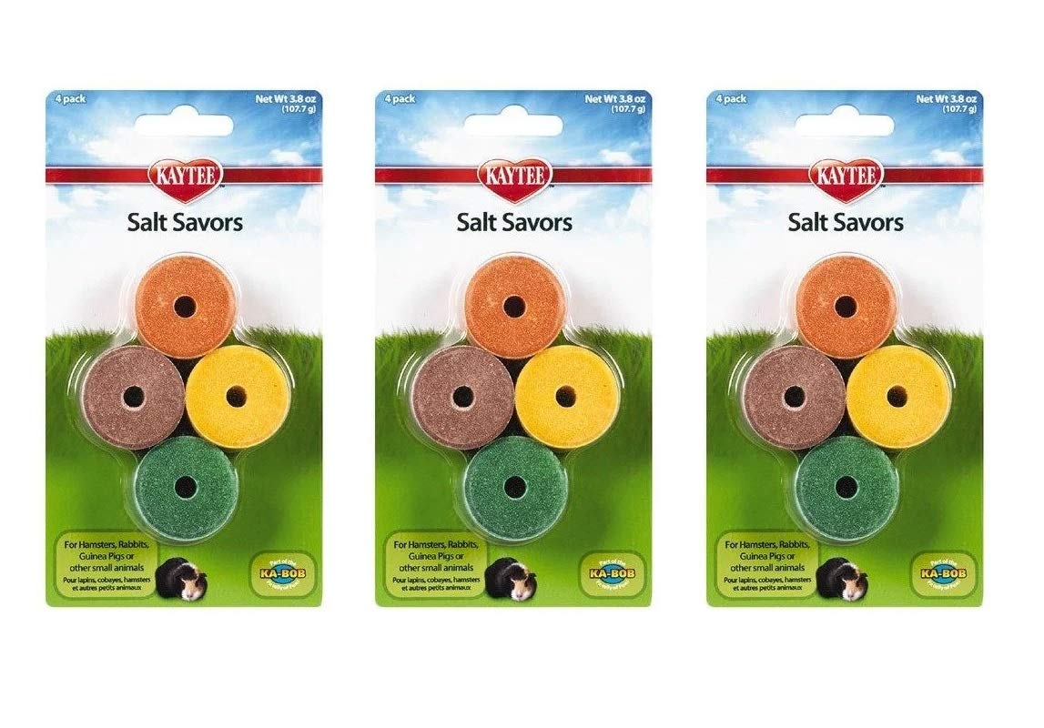 Kaytee Mini Salt Savors Flavors 4pk