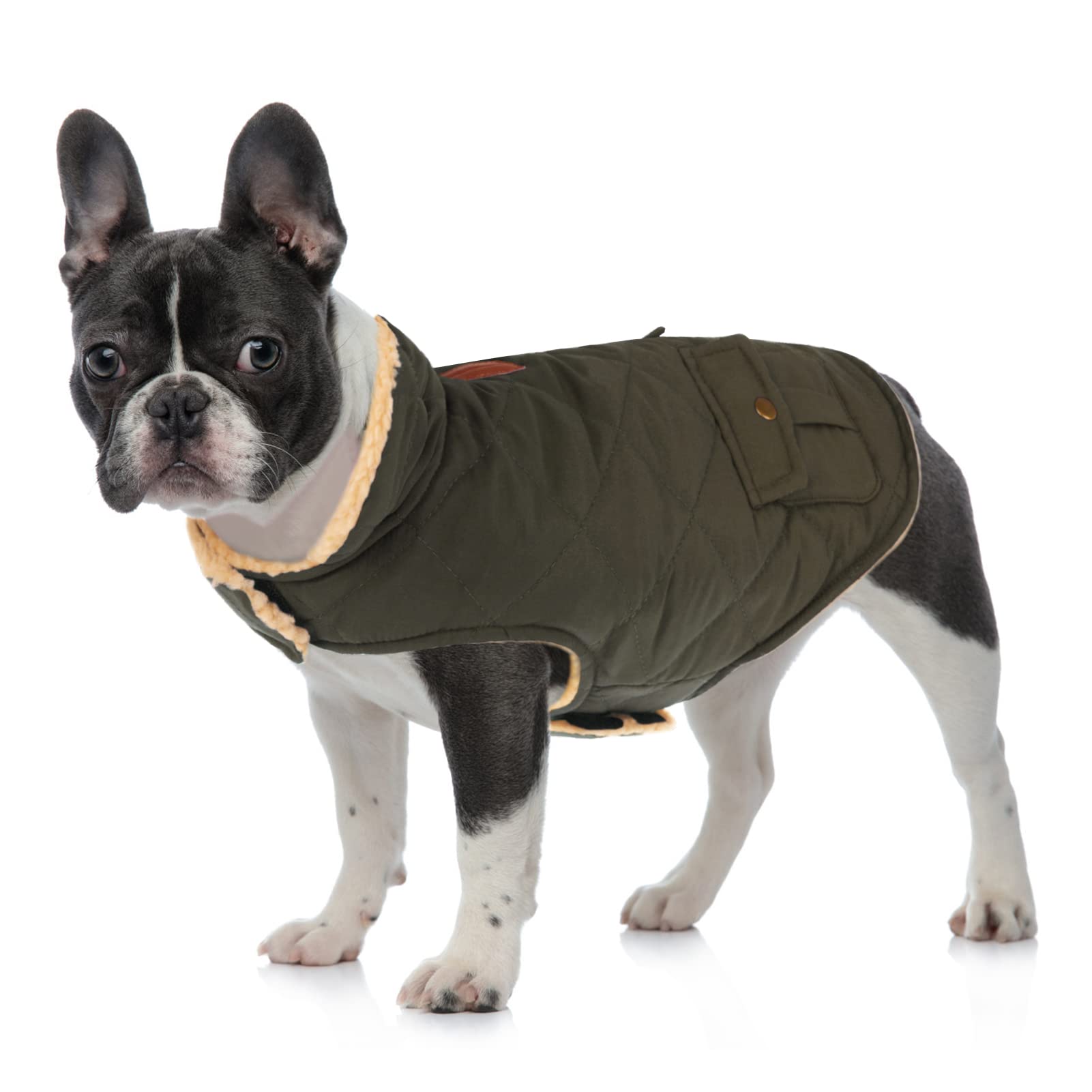 Queenmore Cold Weather Dog Coat, Winter Quilting Dog Jacket Ultra Warm Thick Plush Lining With Storage Pockets (Green, Small)
