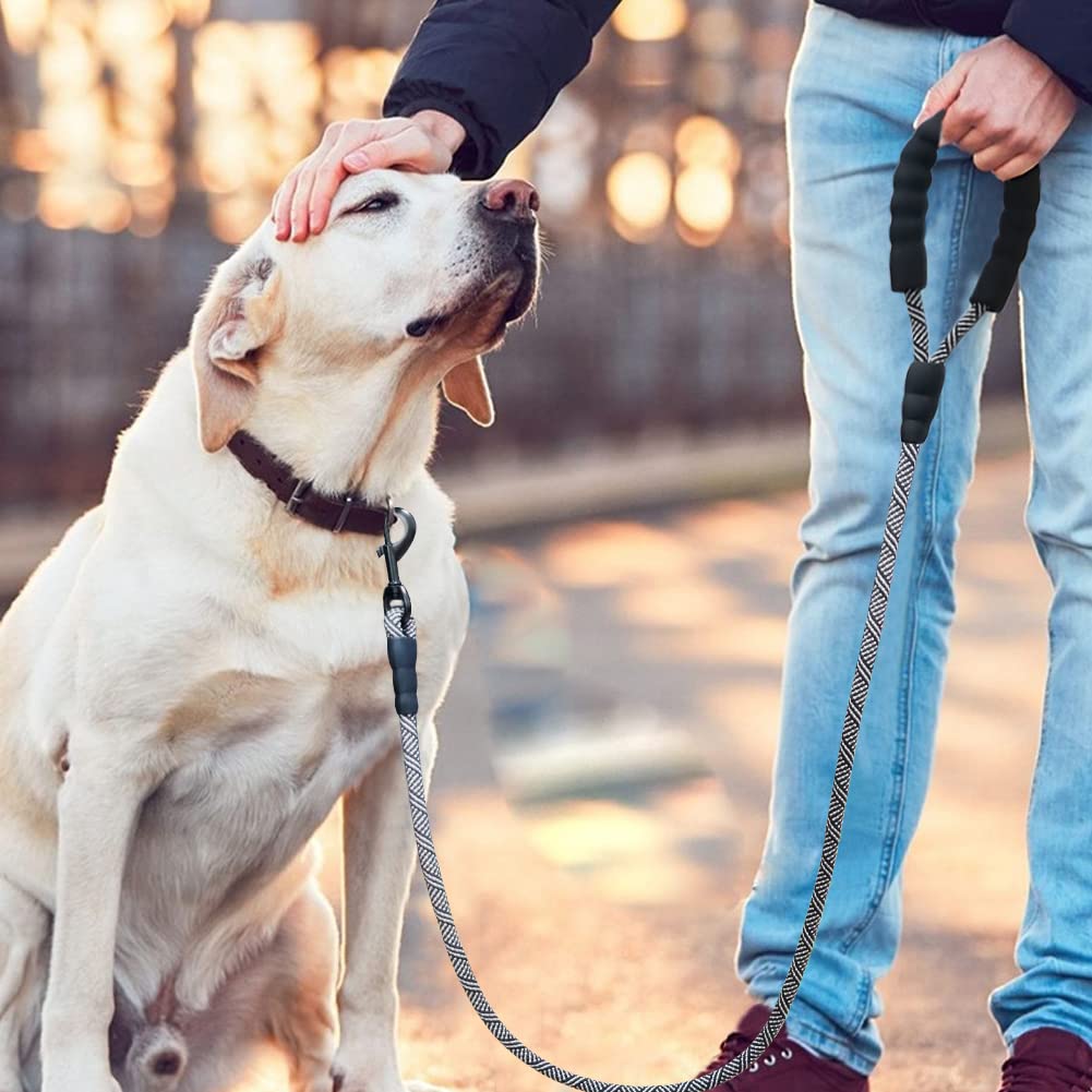 Maypaw Heavy Duty Rope Dog Leash, 3/4/5/7/6/8/10/12/15 Ft Nylon Pet Leash, Soft Padded Handle Thick Lead For Large Medium Dogs S