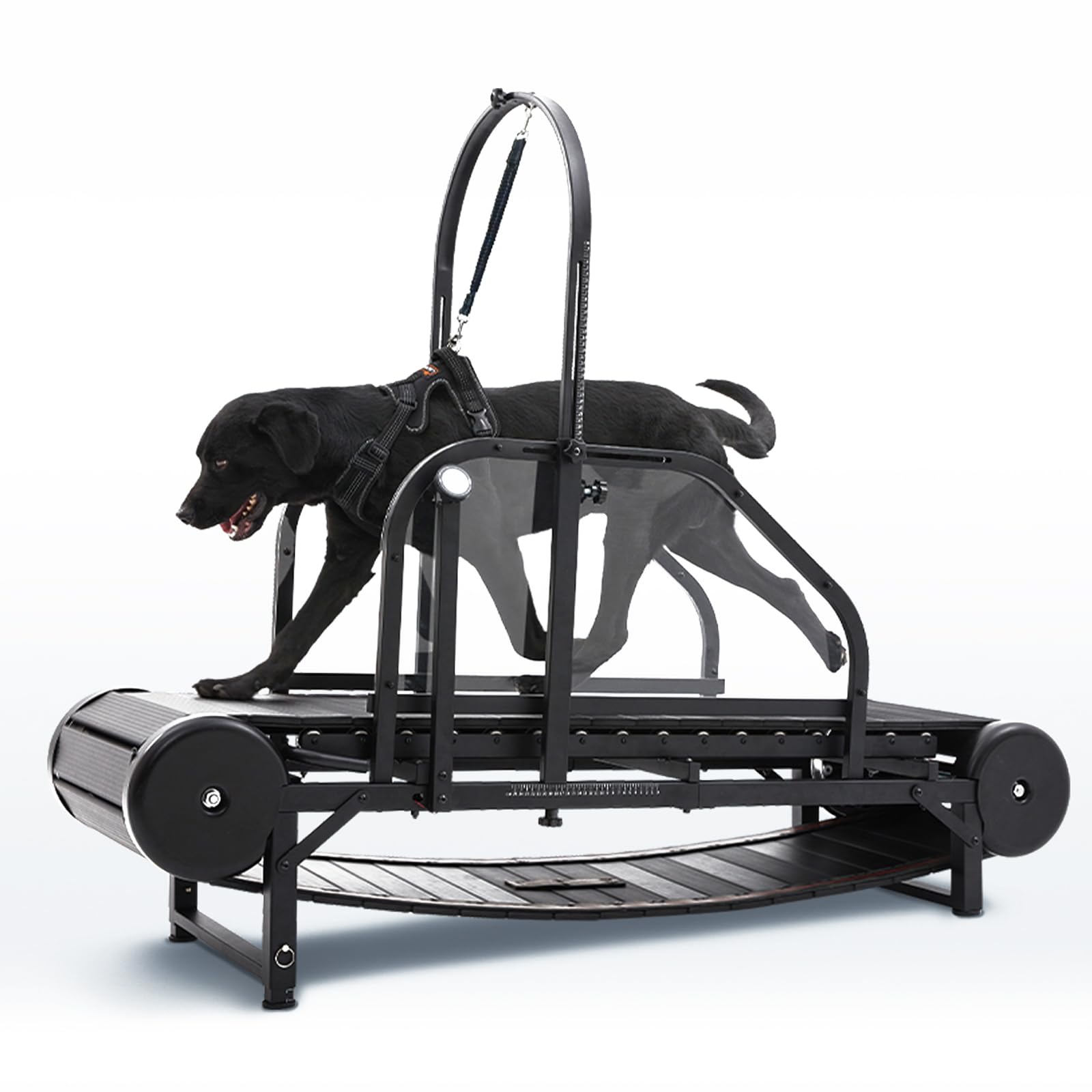 CAMTTIR New Dog Treadmill for 2025, Non-Electric Treadmill for Dogs with Step Counter, Adjustable Incline & Brake, Dog Treadmill