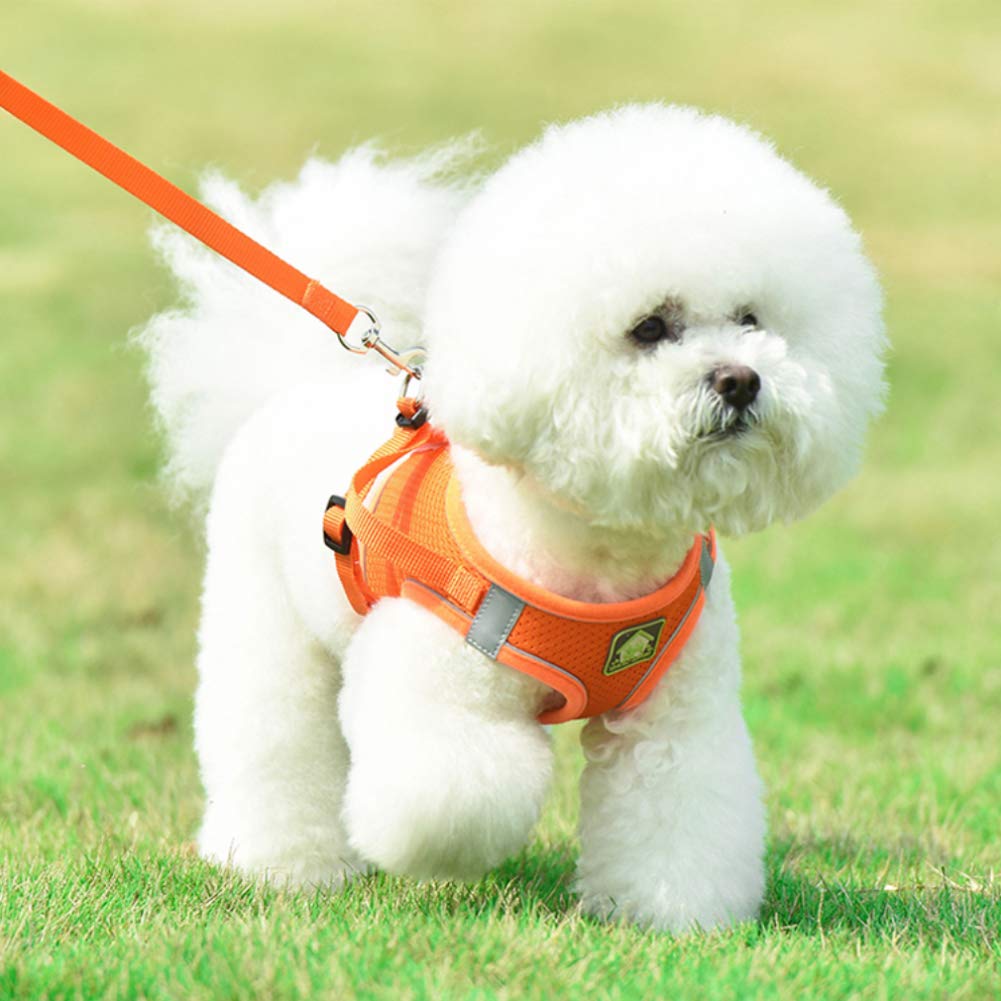 Feimax Dog Harness And Leash Set, No-Pull Breathable Soft Mesh Puppy Vest Reflective Adjustable Pet Harnesses For Small Medium Dogs And Cats - Outdoor Easy Control For Walking