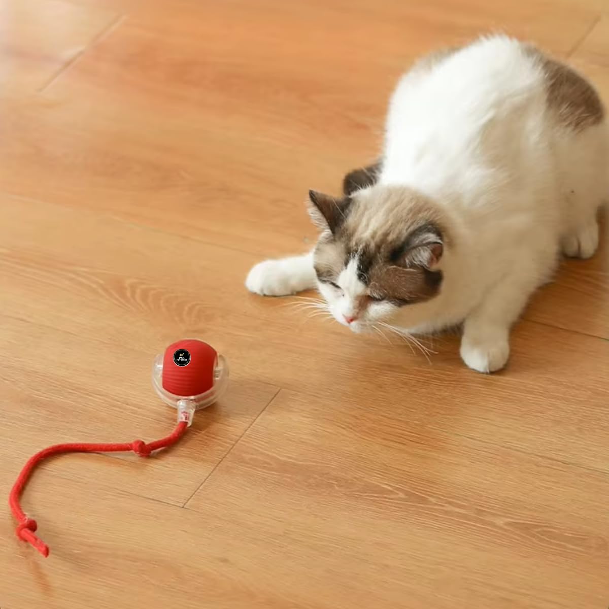 Psk Pet Mart Smart Interactive Rolling Ball Toy For Dogs | 360 Automatic Motion Pet Ball | ChewFriendly & Engaging Play Toy For