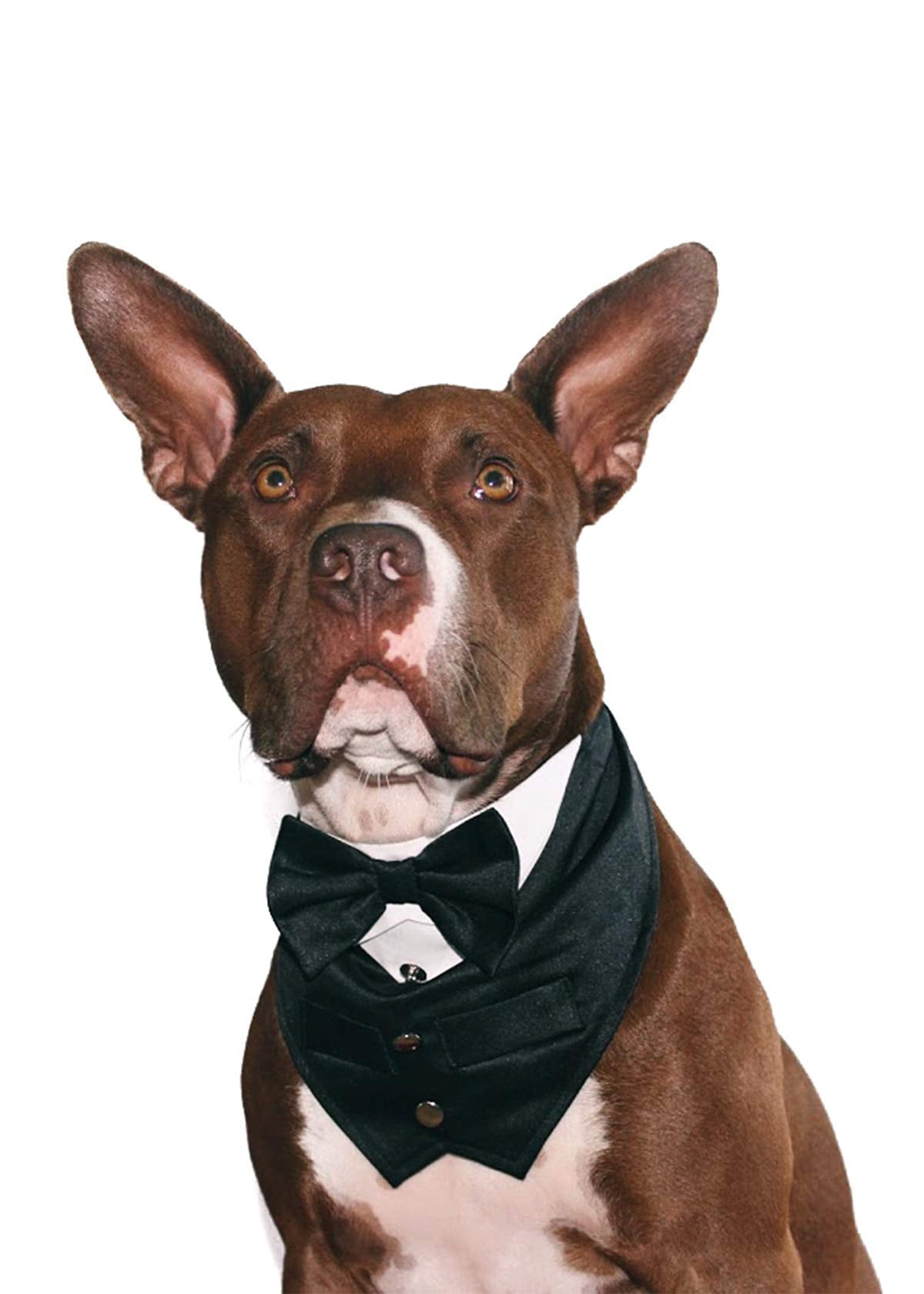 Tail Trends Formal Dog Tuxedo Vest Dog Wedding Bandana With Bow Tie For Special Occasions