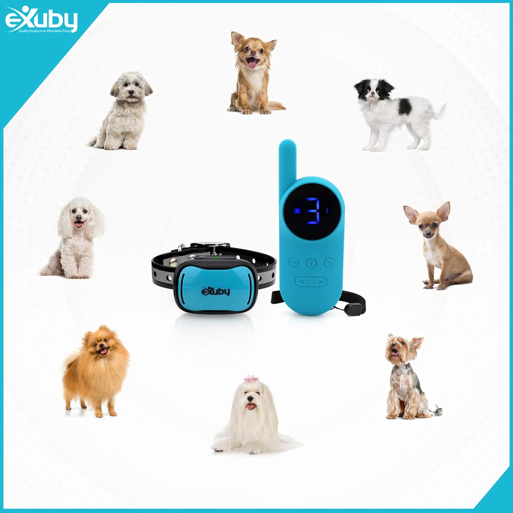 eXuby Tiny Shock Collar for Small Dogs 5-15lbs - Water-Resistant, Teal, Model EXBTZ812, 9 Intensity Levels, Small Size, Plastic Material