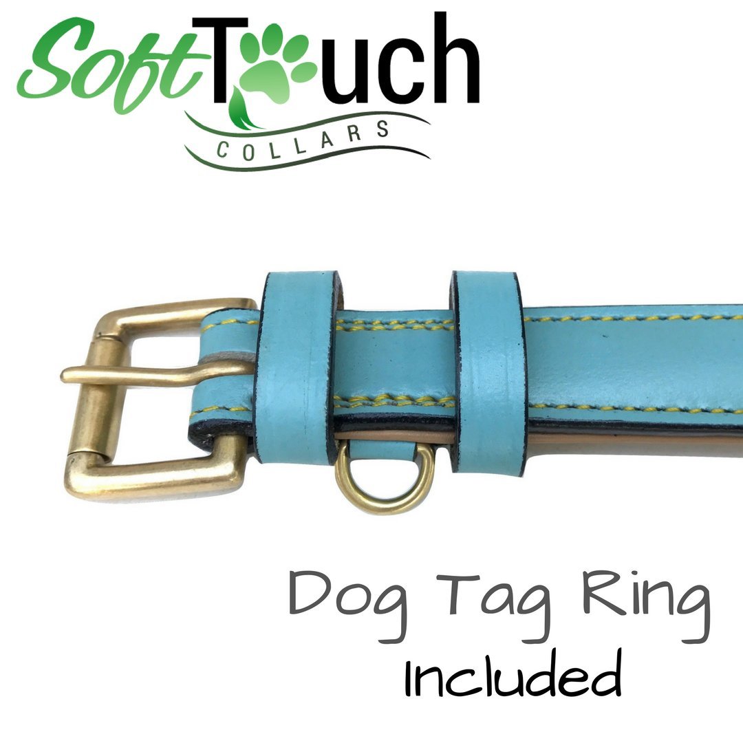 Soft Touch Collars Small Leather Padded Dog Collar, Turquoise with Beige Padding,16 Long x 5/8 Wide, Neck Size 11 to 13.5