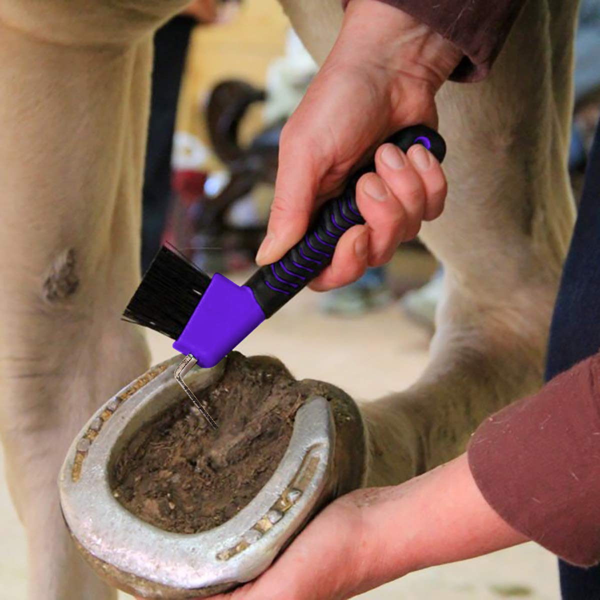 BOTH WINNERS Horse Hoof Pick Brush with Soft Touch Handle (Purple)