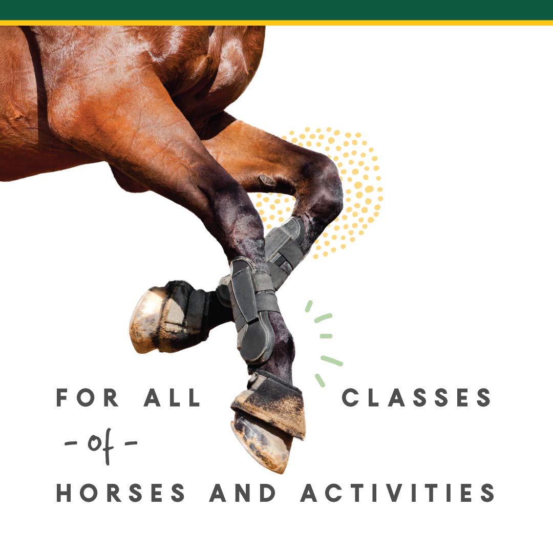 Manna Pro Corta-FLX Horse Equine Joint Supplement Powder - Quick & Effective Nourishment to Joints - 8 LB