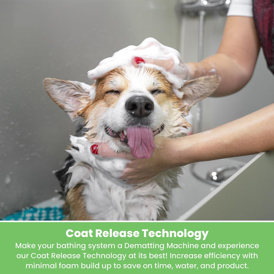 Best Shot Ultra Wash Too Shampoo With Pet Coat Release Technology, Coat And Skincare Product For Dogs And Cats, Quick-Rinsing, 1