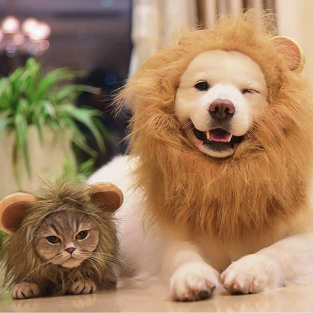Namsan Pet Halloween Costume Cat Lion Mane Wig Halloween Outfit Small Dog Lion Hat