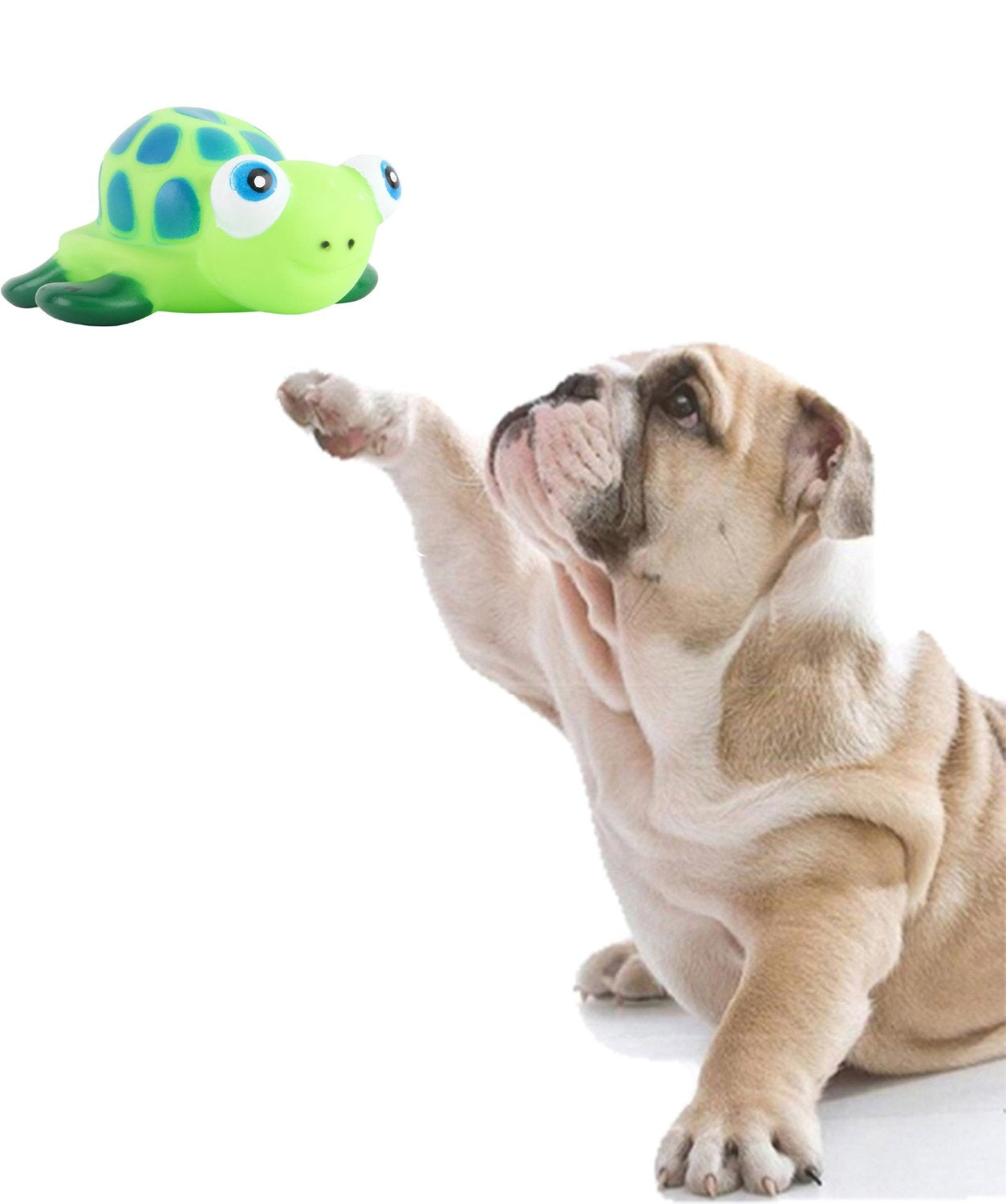 Sage Square Natural Rubber Squeaky Cum Chew Turtle Shape Toy For Dog/Puppy/Cat/Kitten