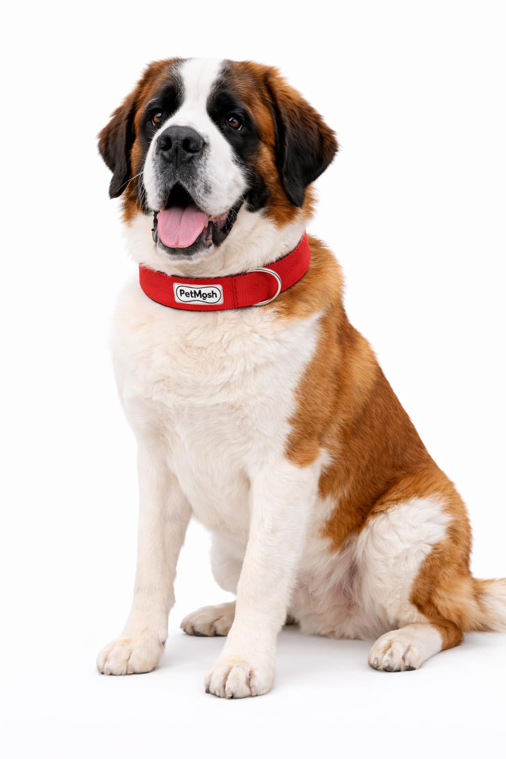 Petmosh Dog Collar Belt For Large Dogs  Adjustable Collar With Padding, Heavy Duty Nylon Dog Collar With Metal Buckle For Labra