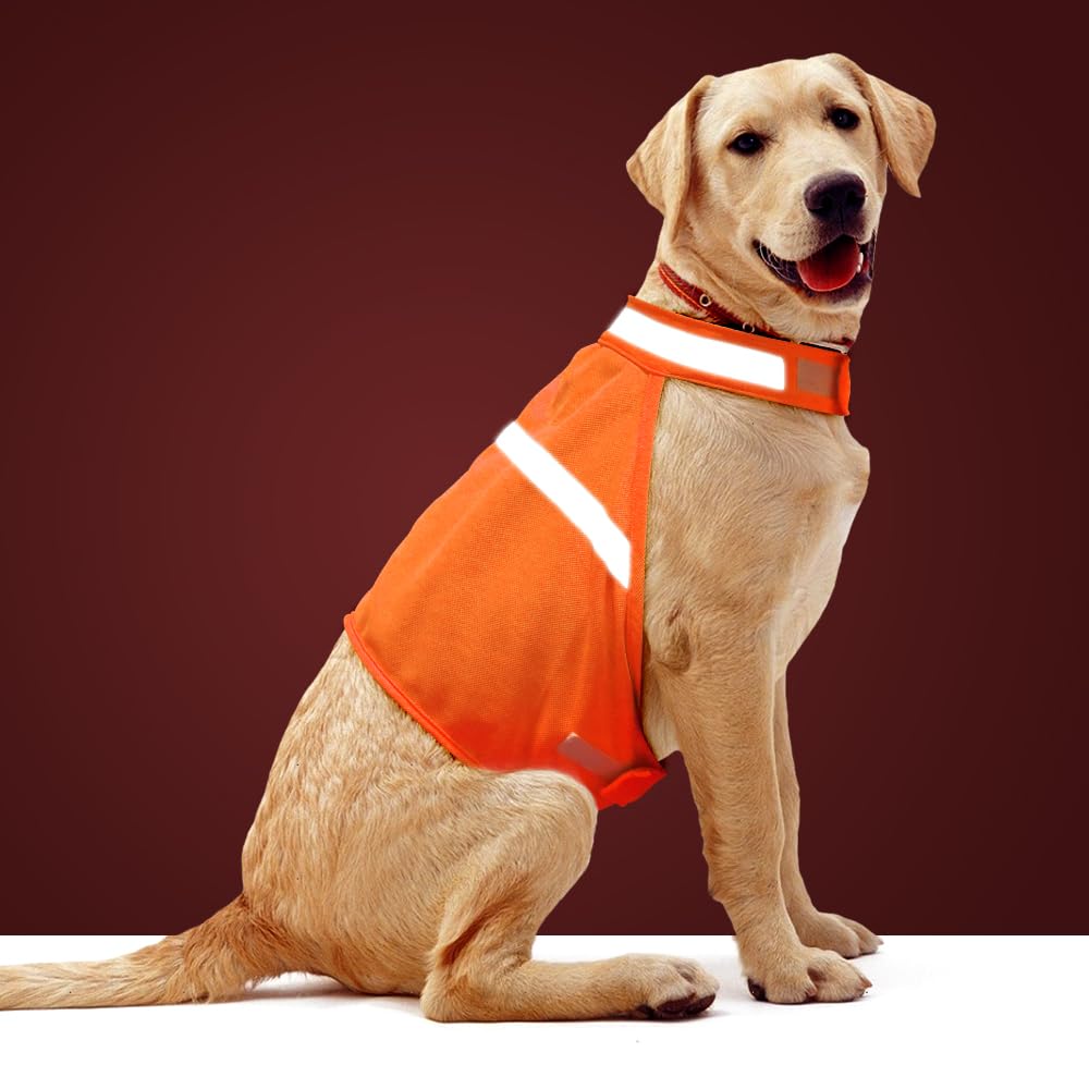 Dog Jacket High Visibility Safety Reflective Dog Vest For Small Medium Large Dogs (X-Large, Orange)